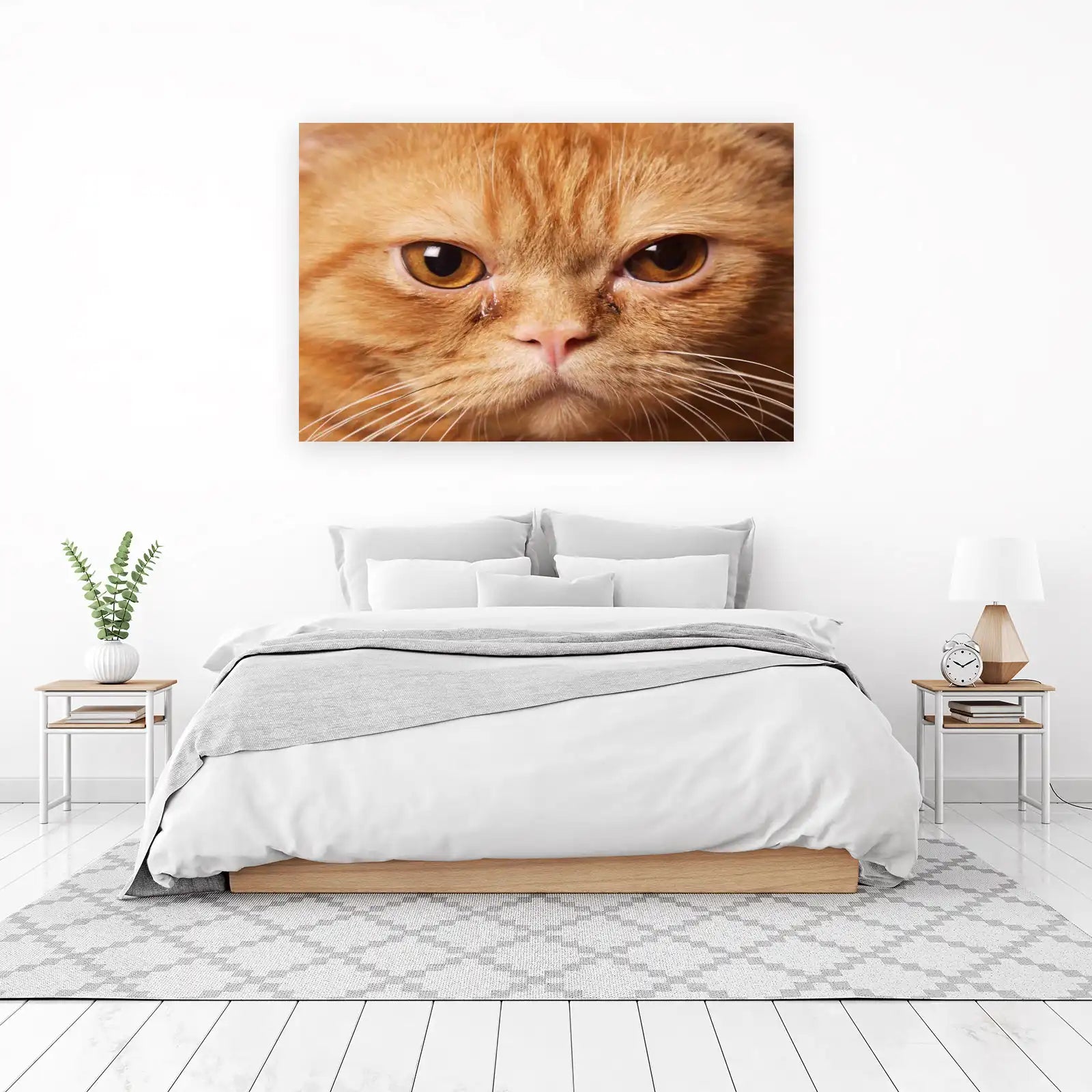 Heartwarming Ginger Cat Crying Wall Art