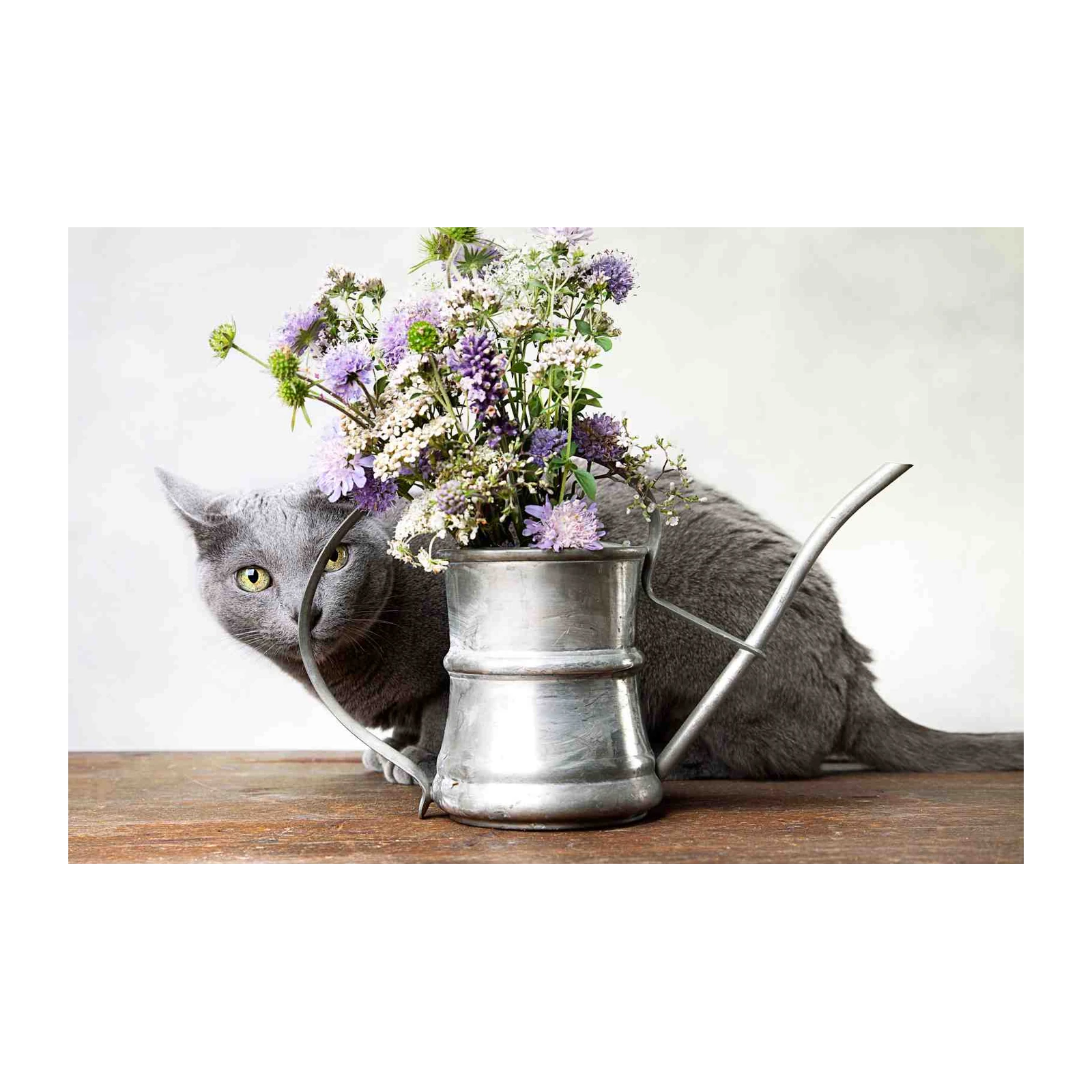 Charming Grey Cat & Wildflowers Wall Art