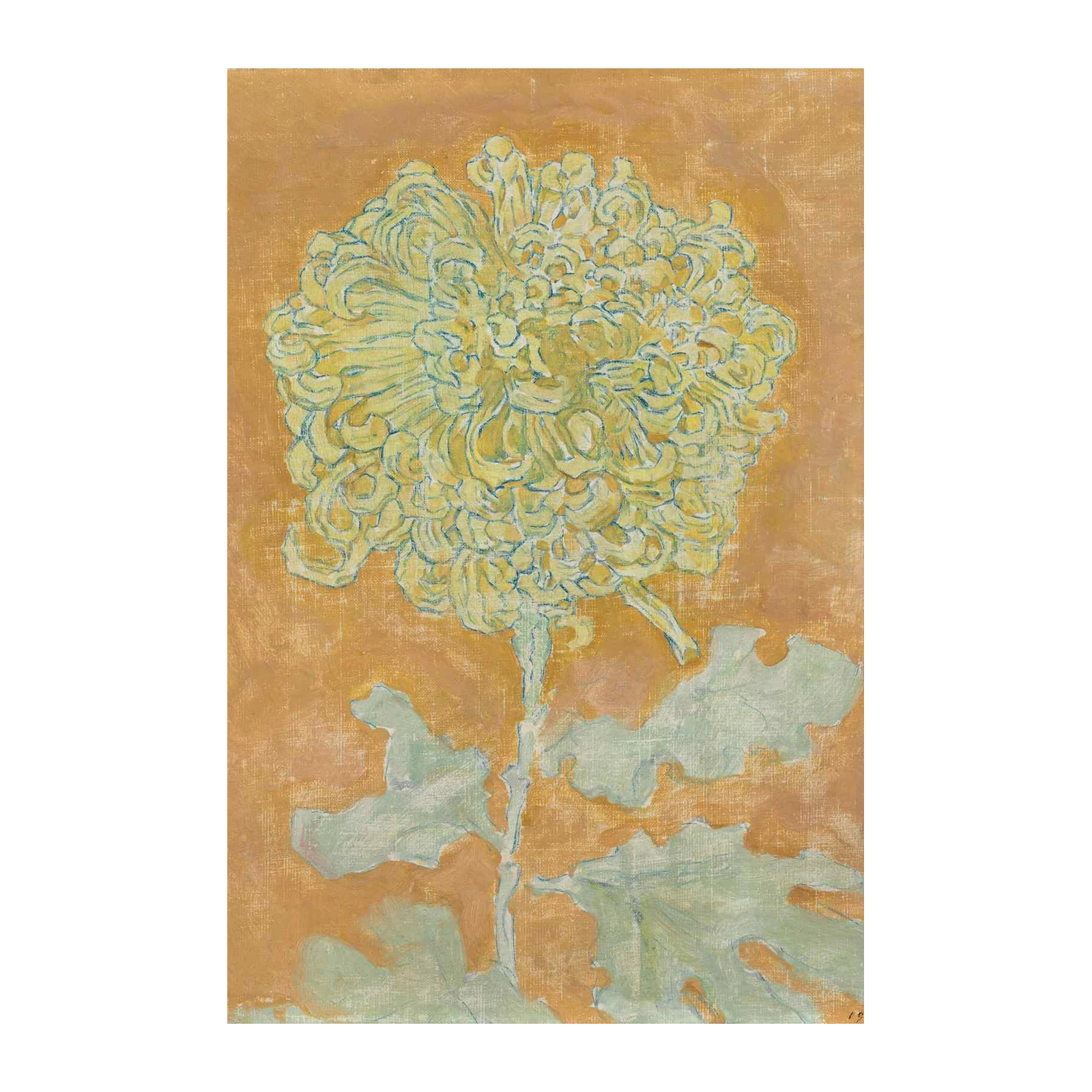 Yellow Chrysanthemum Botanical Art Wall Art
