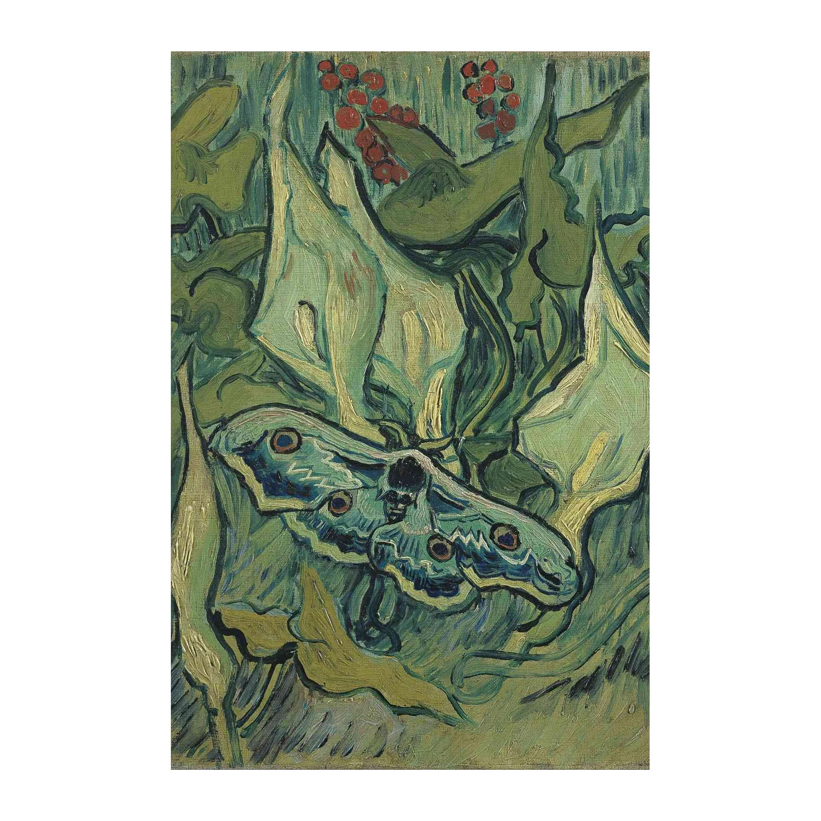 Van Gogh's Peacock Moth Wall Art | Nature Art