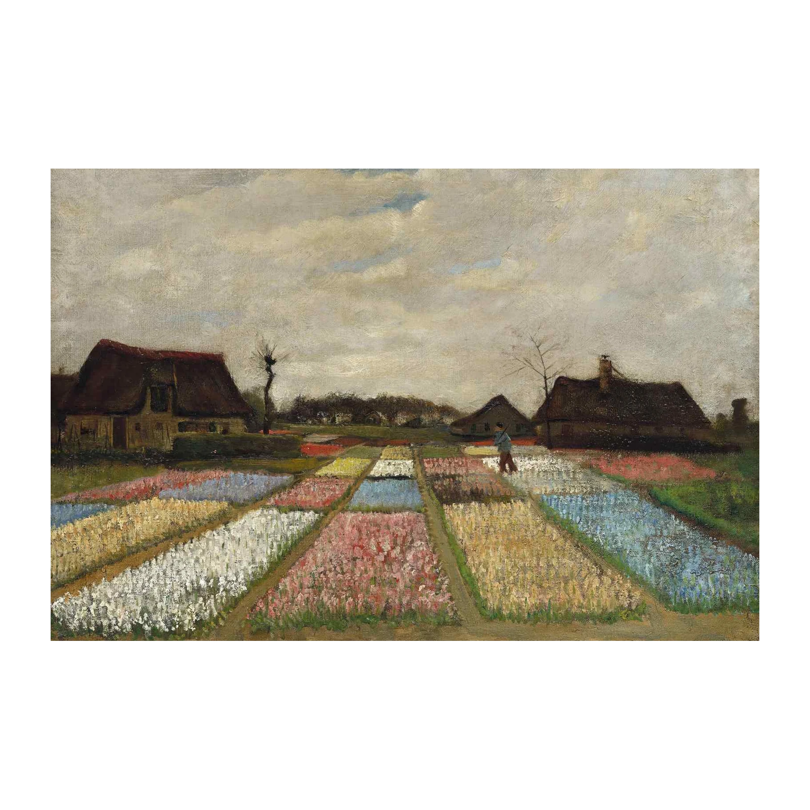 Tulip Field Landscape Wall Art