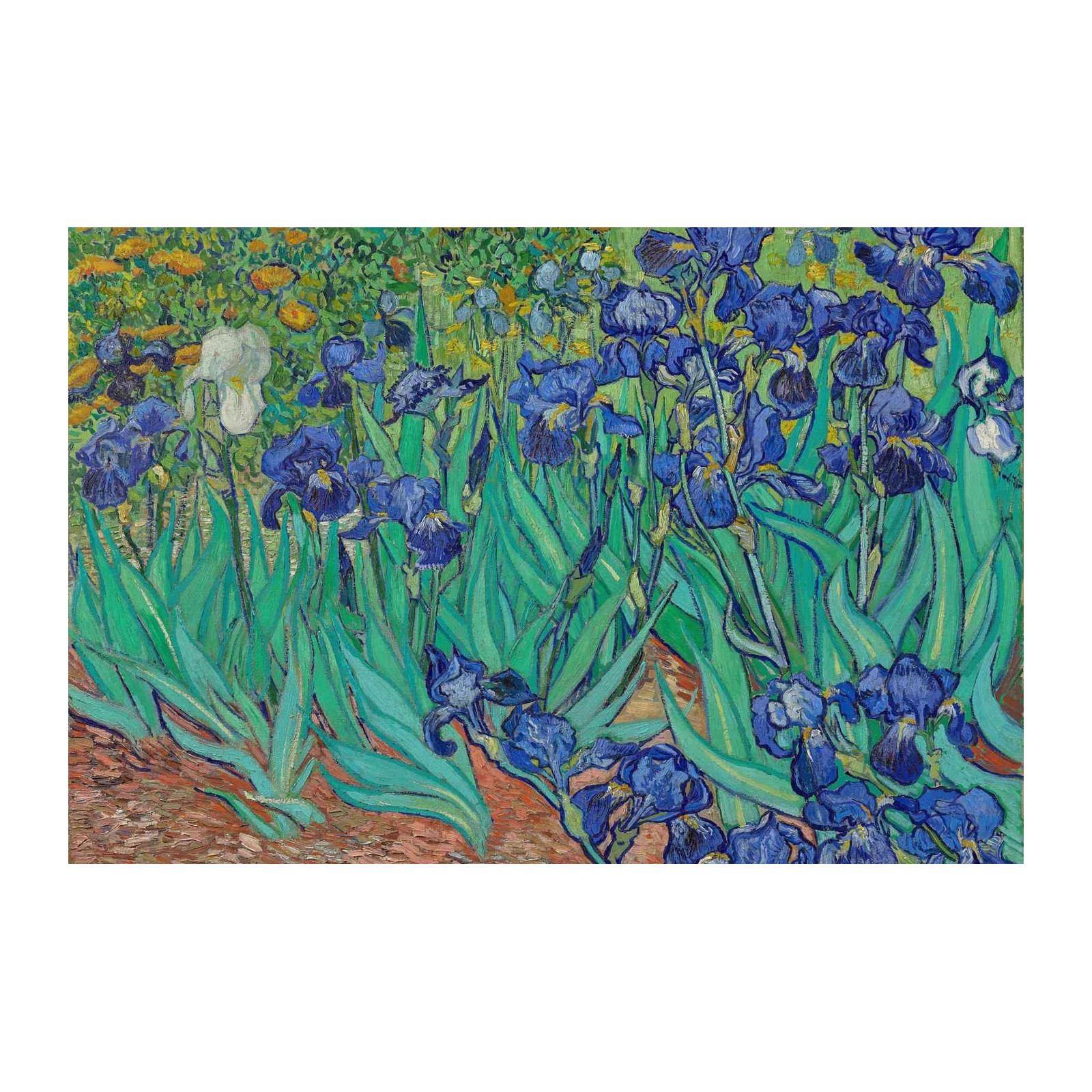 Van Gogh Irises Vibrant Blue Floral Wall Art