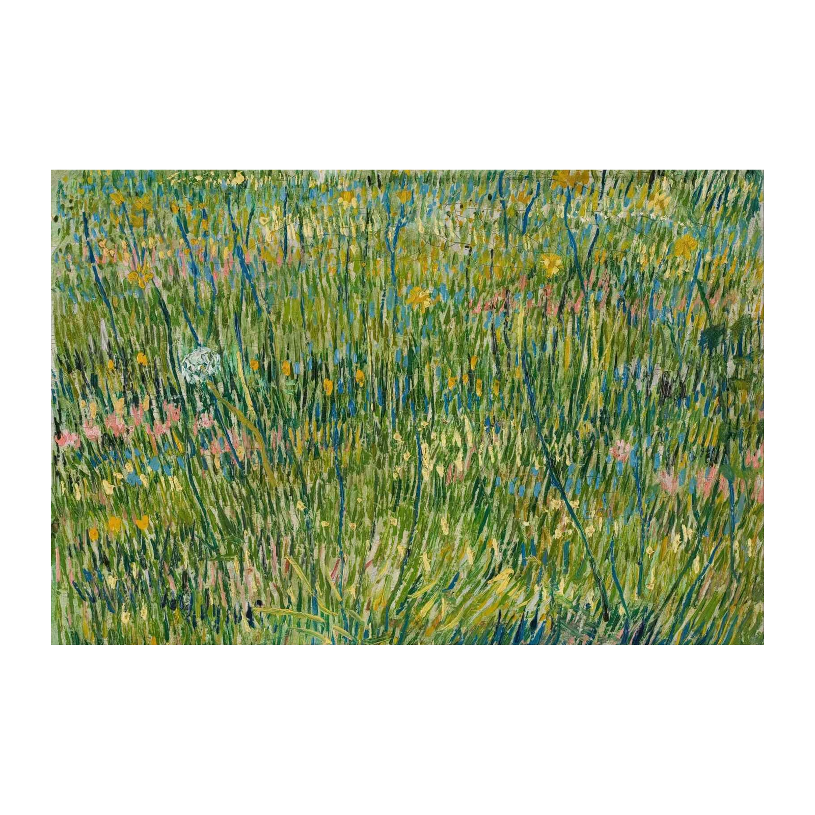 Vibrant Meadow Flowers Wall Art