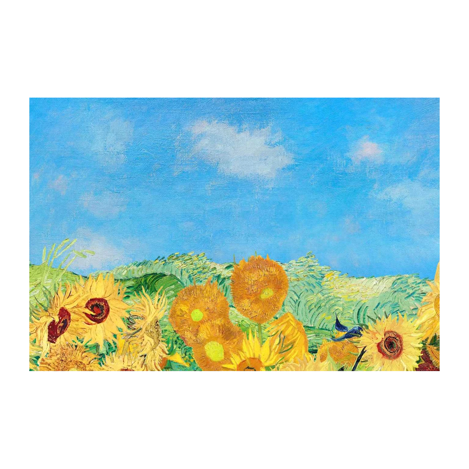 Vibrant Sunflowers Field Wall Art - Van Gogh Inspired Art