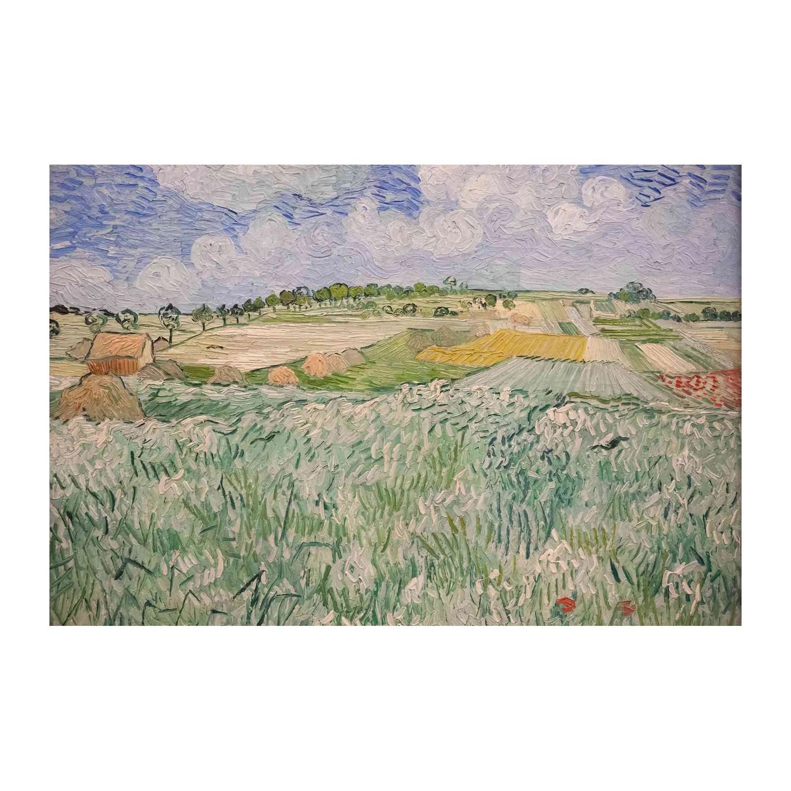 Vibrant Wheat Field Landscape Van Gogh Style Wall Art