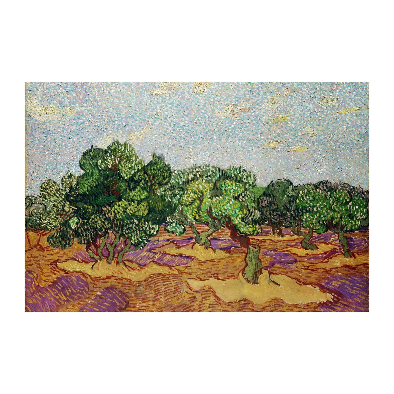 Van Gogh Olive Grove Vibrant Landscape Wall Art