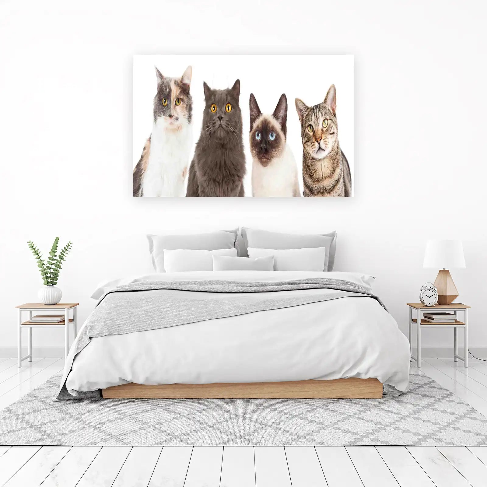 Four Adorable Cats Posed Wall Art