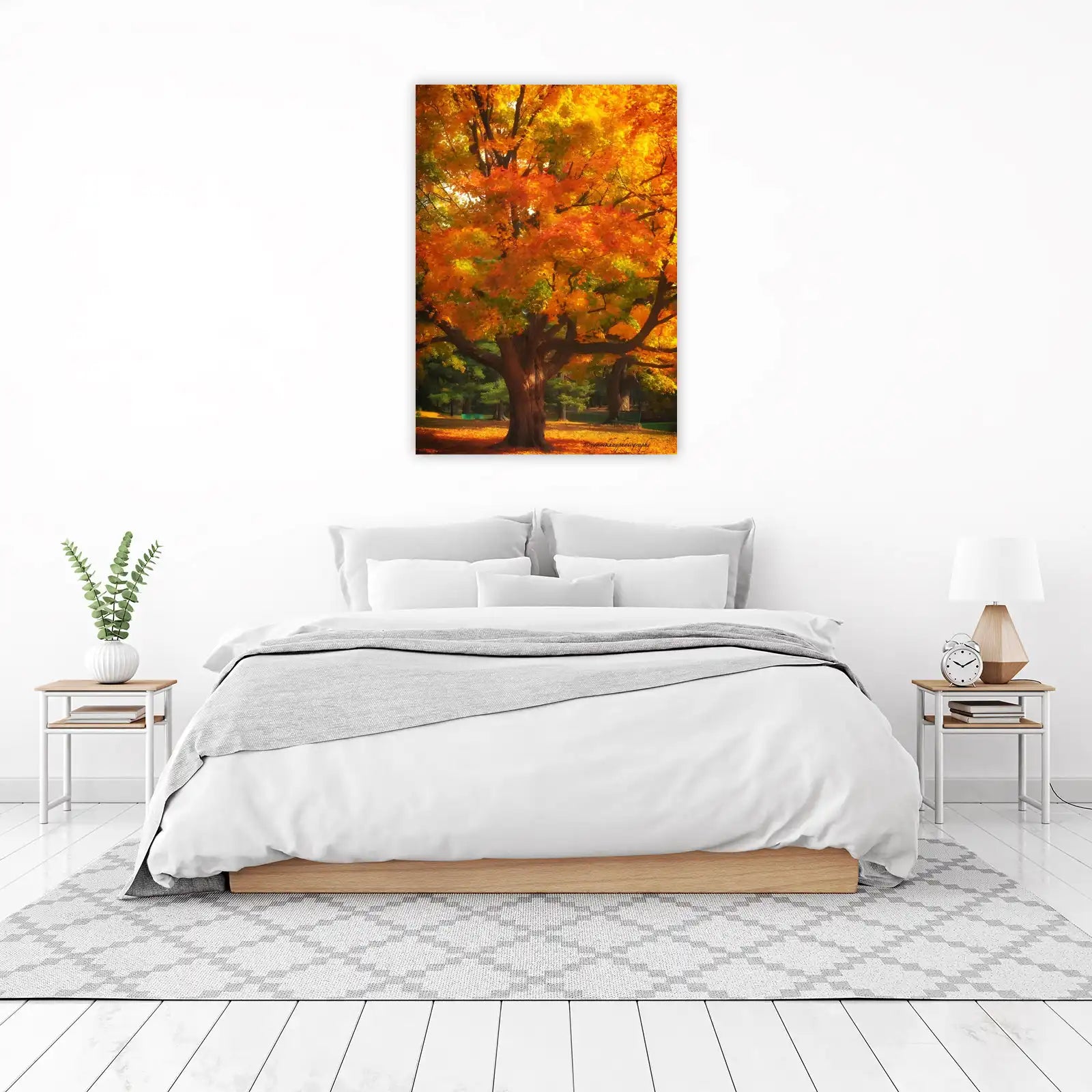 Vibrant Autumn Maple Tree Wall Art