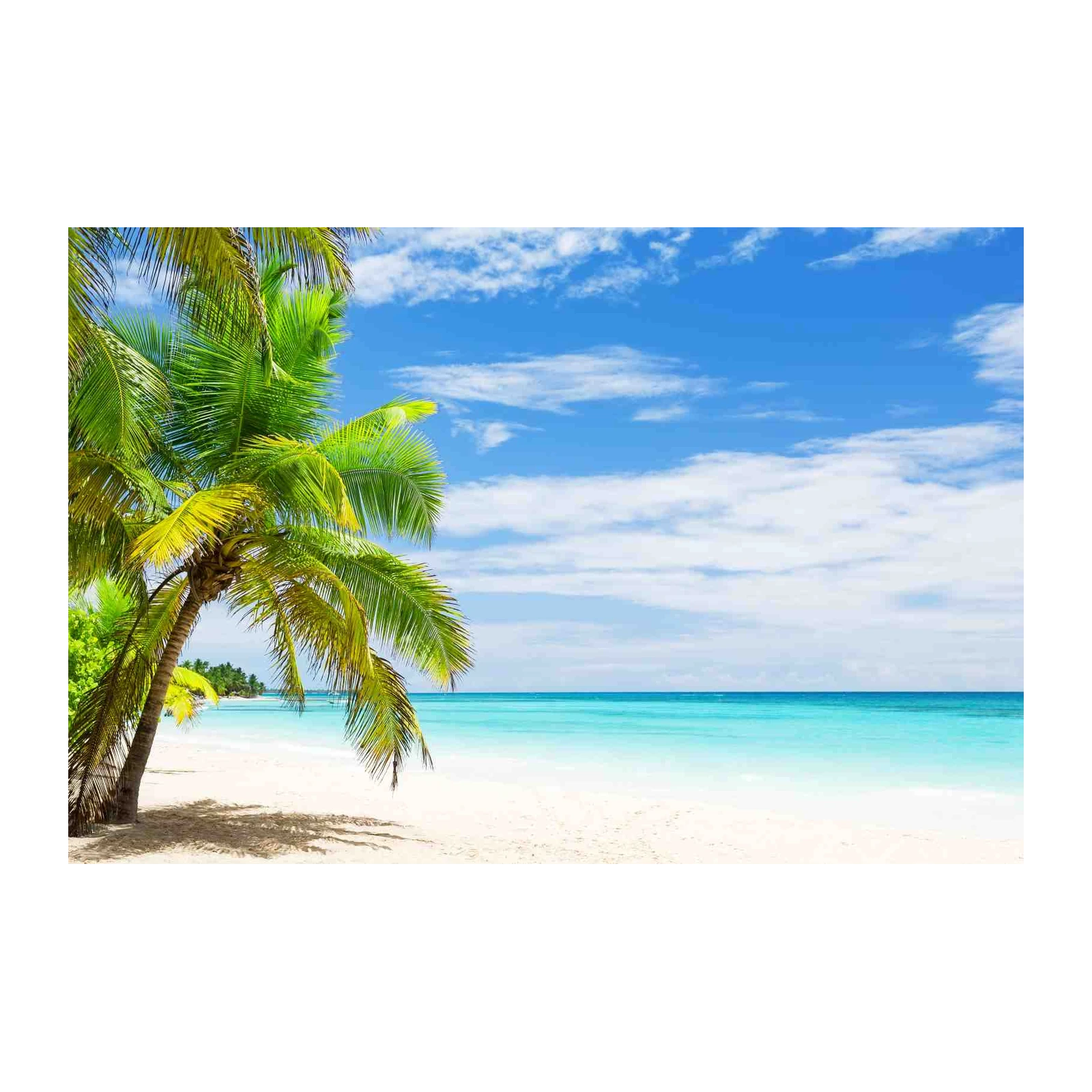 Tranquil Tropical Beach Palm Wall Art