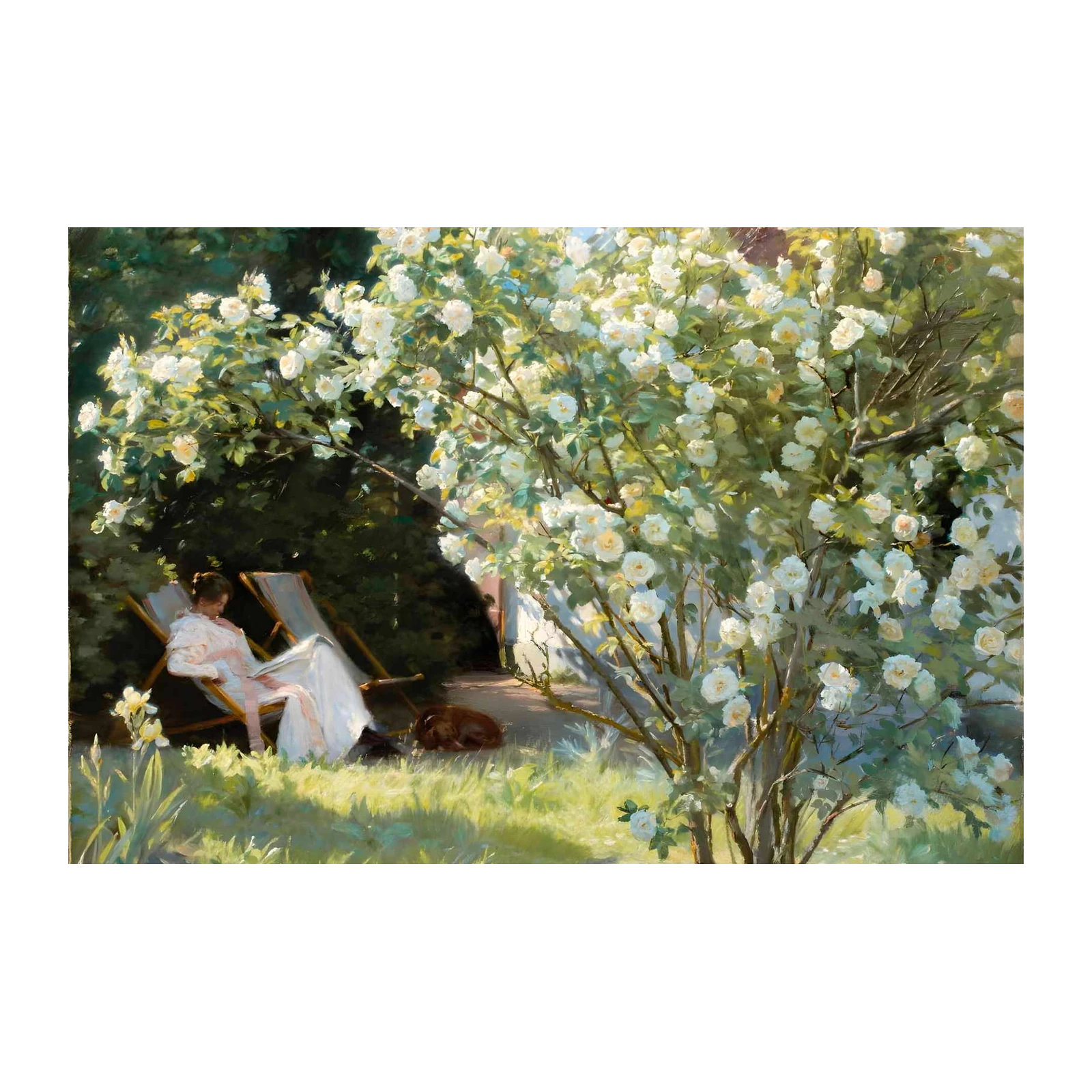 Serene Garden Scene with White Roses Wall Art