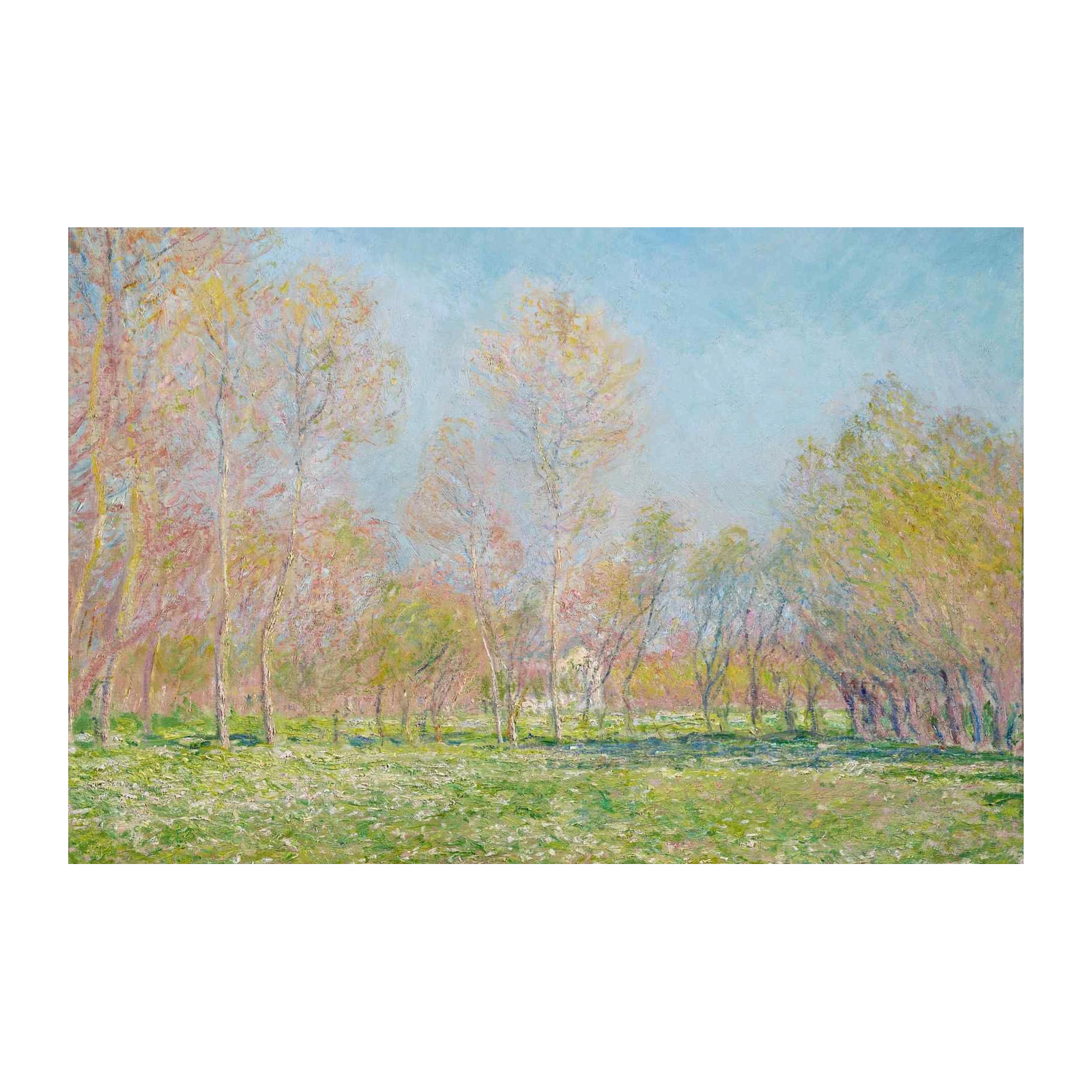 Impressionist Poplar Trees & Meadow Wall Art