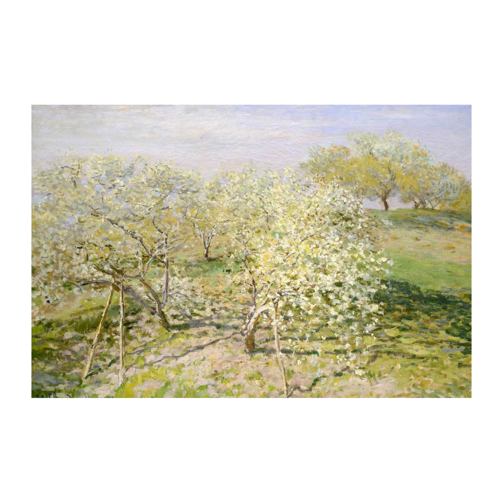 Spring Orchard Blossom Field Wall Art