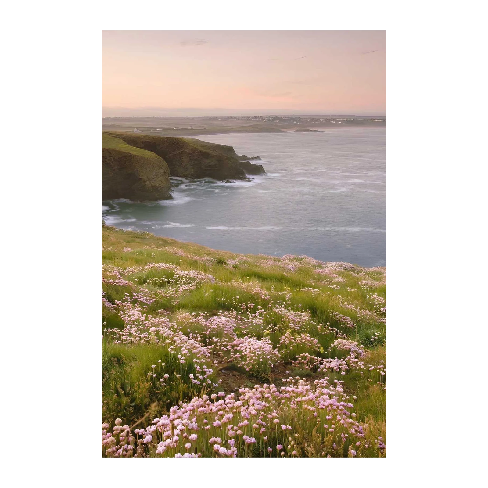 Coastal Wildflower Cliffside Wall Art