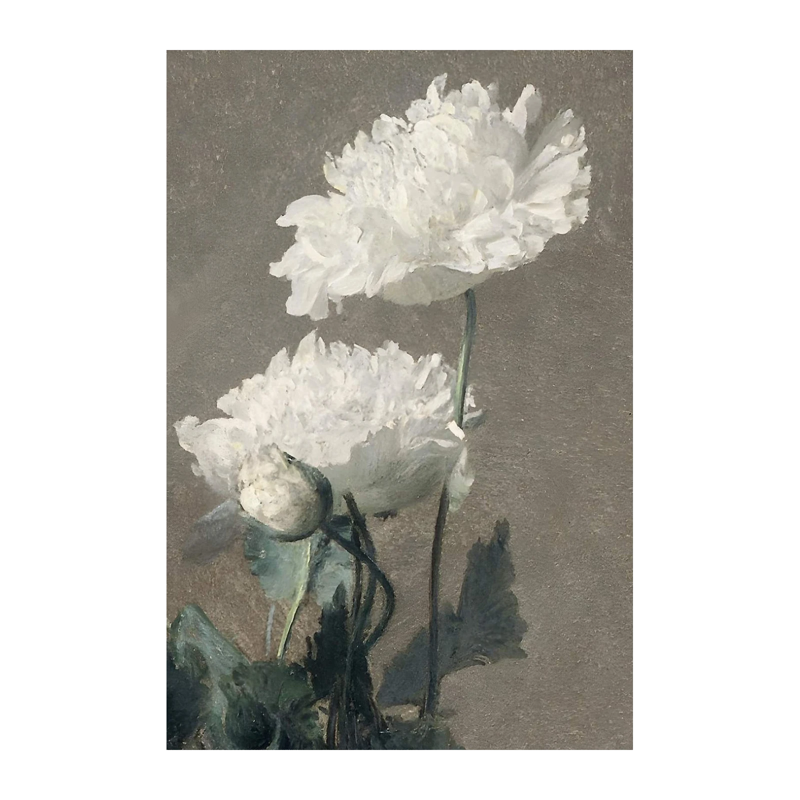 Elegant White Poppies Floral Wall Art Wall Art