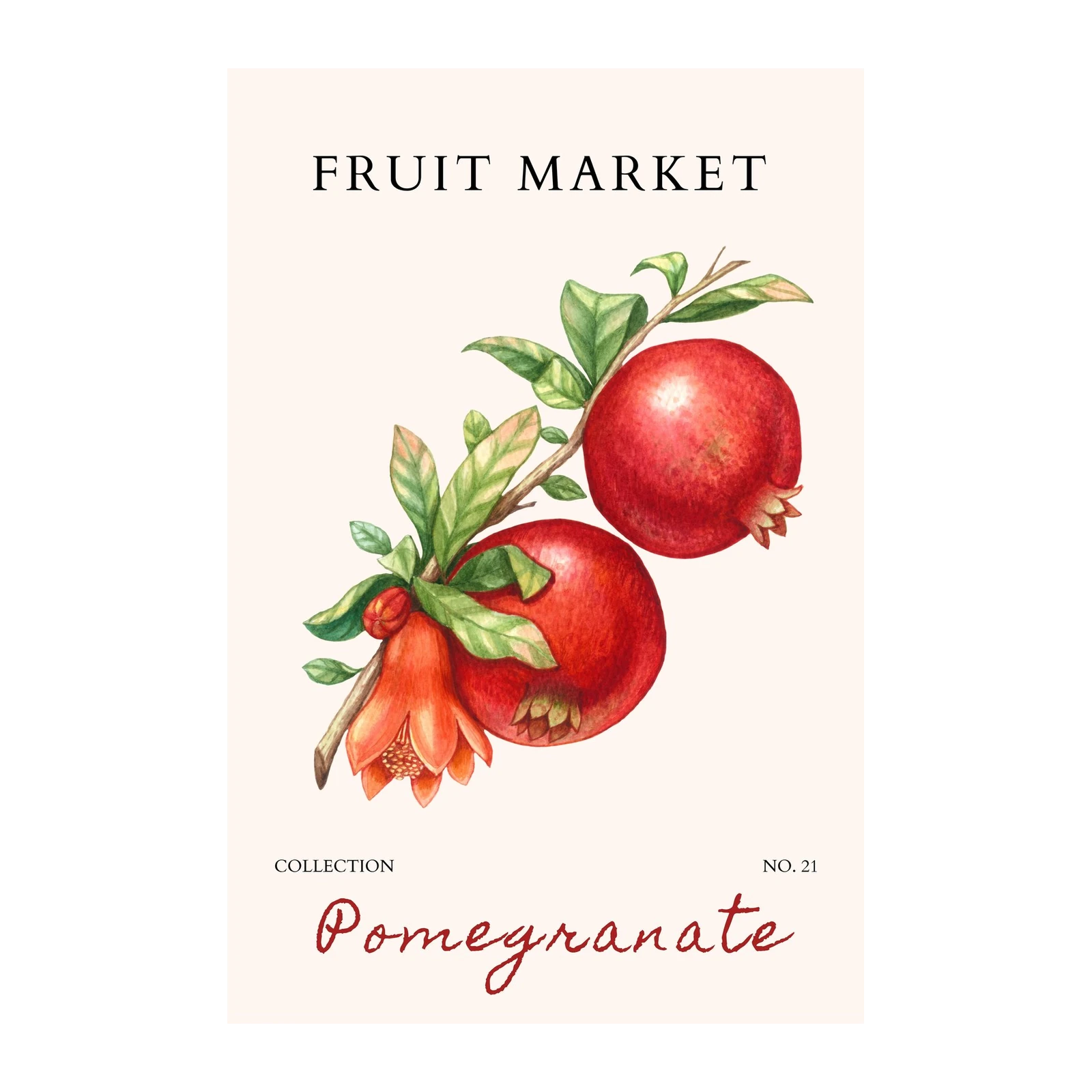 Vintage Pomegranate Botanical Watercolor Wall Art