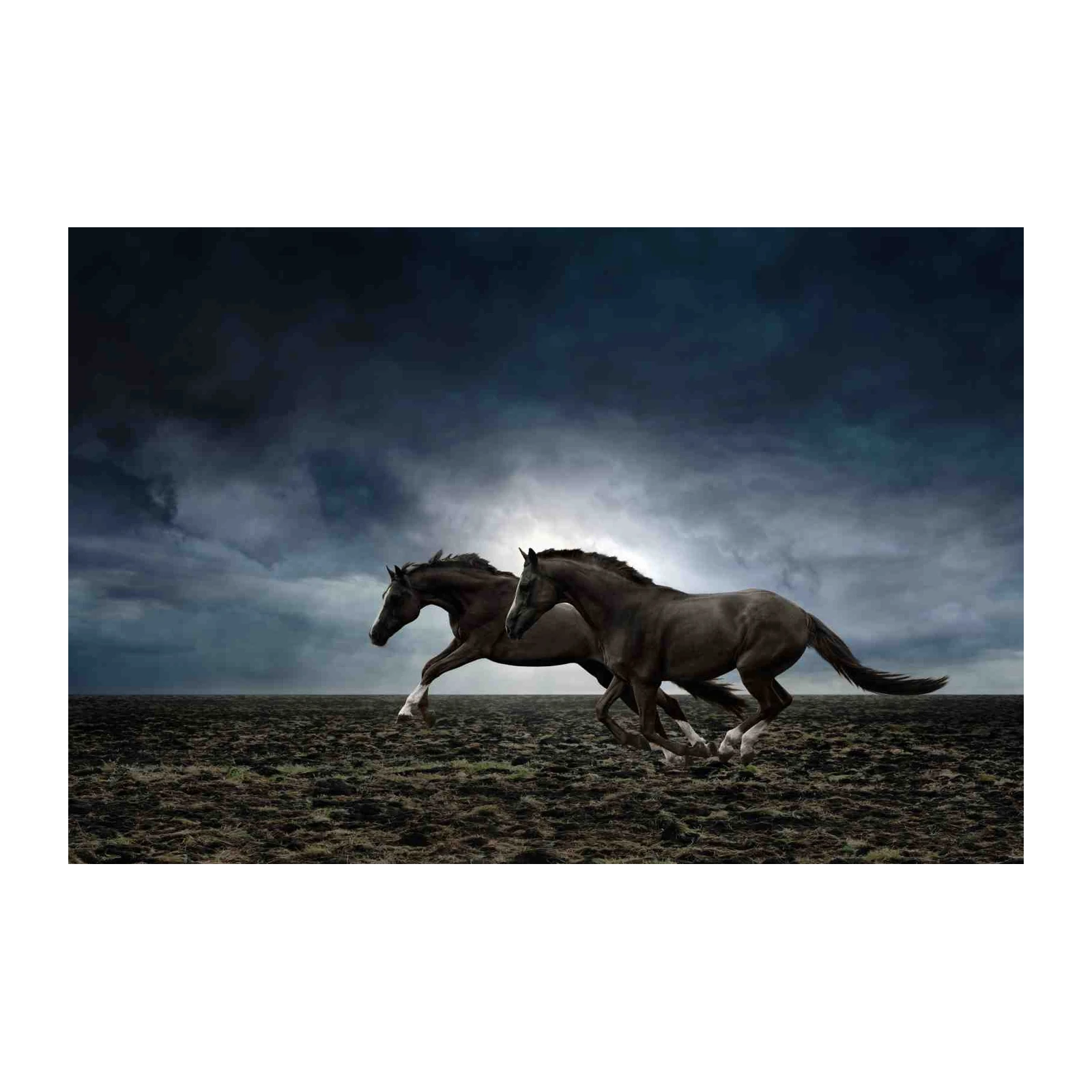 Majestic Horses Running Stormy Sky Wall Art