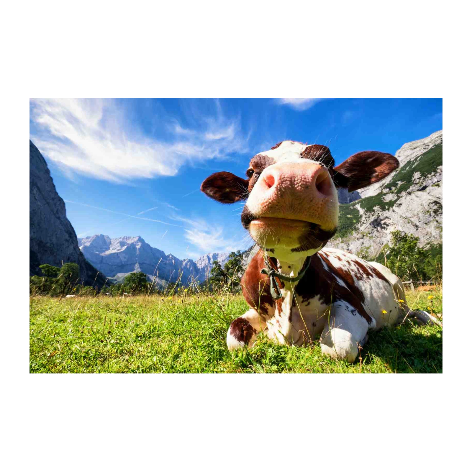 Whimsical Cow Portrait Alpine Meadow Wall Art