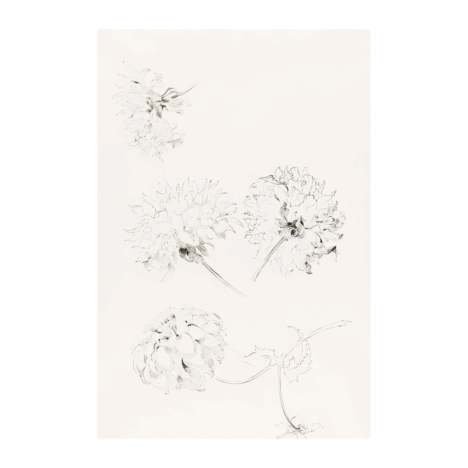 Botanical Sketch Floral Wall Art Art