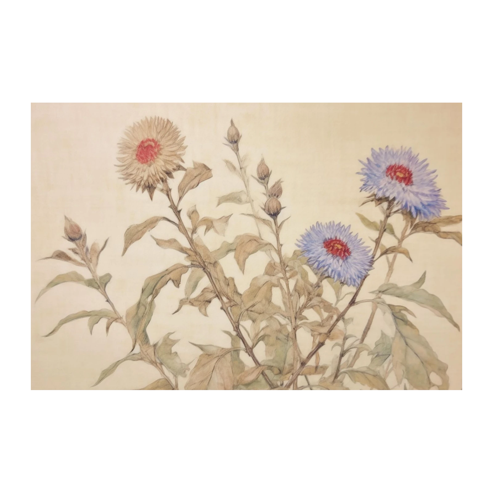 Vintage Floral Asters Wall Art