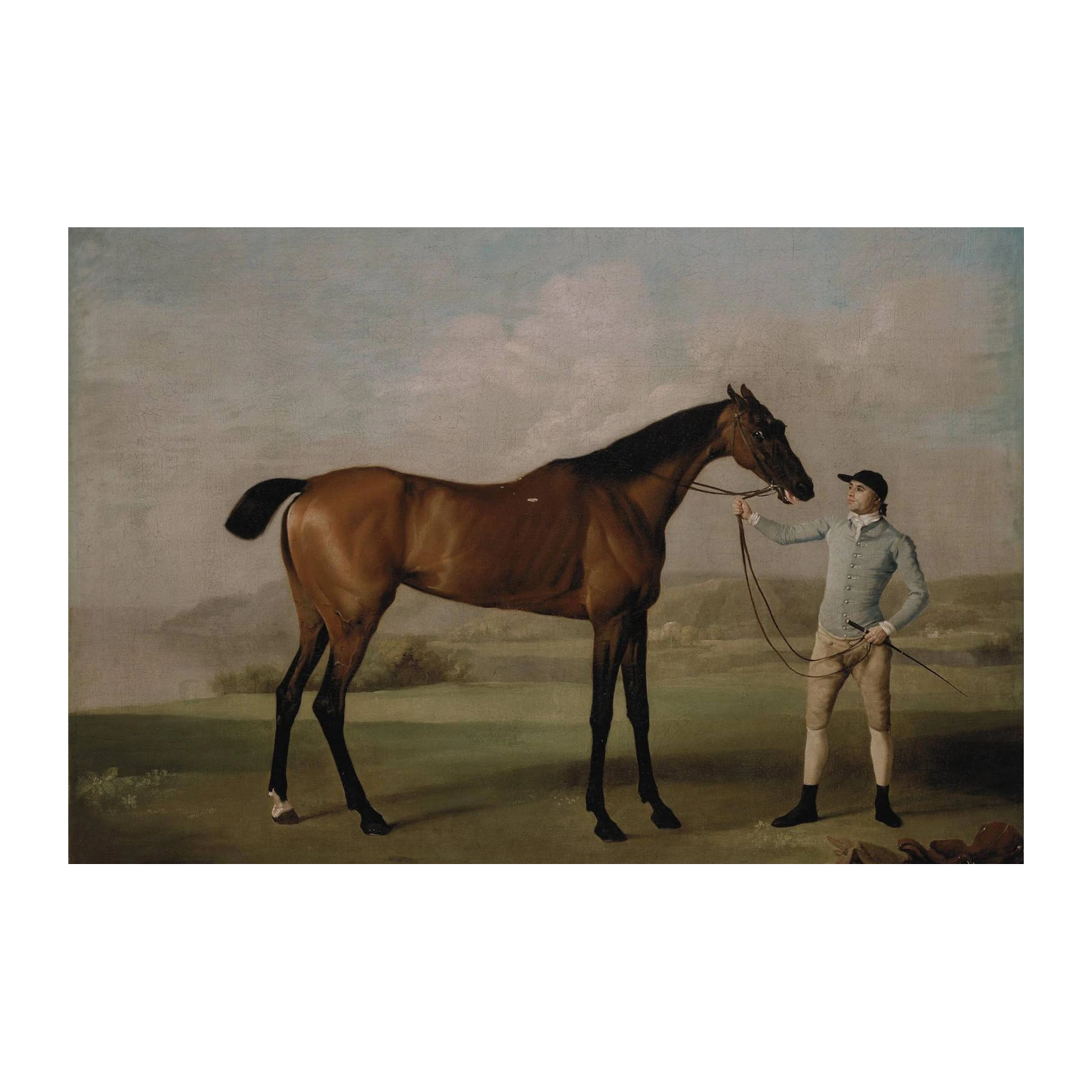 Elegant Equine & Jockey Horse Portrait Wall Art
