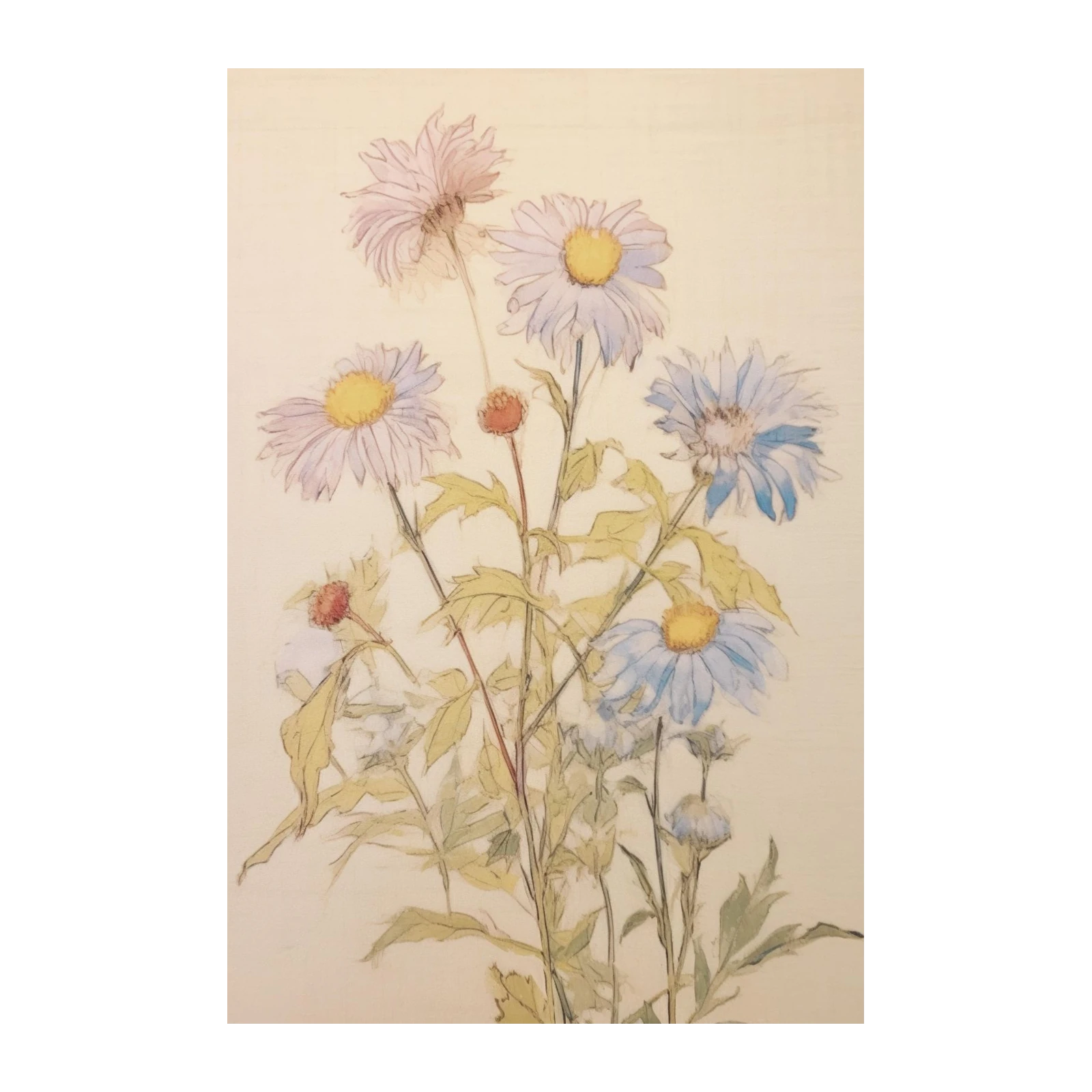 Delicate Floral Watercolor Daisy Wall Art