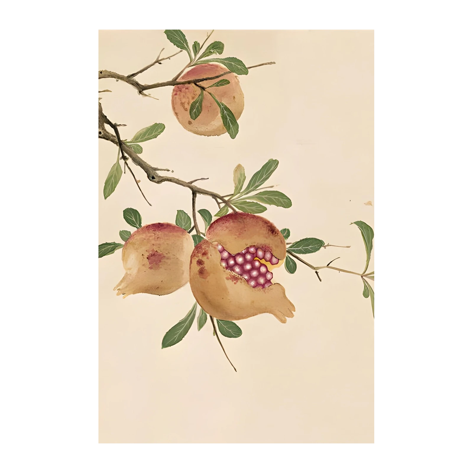 Oriental Pomegranate Branch Wall Art