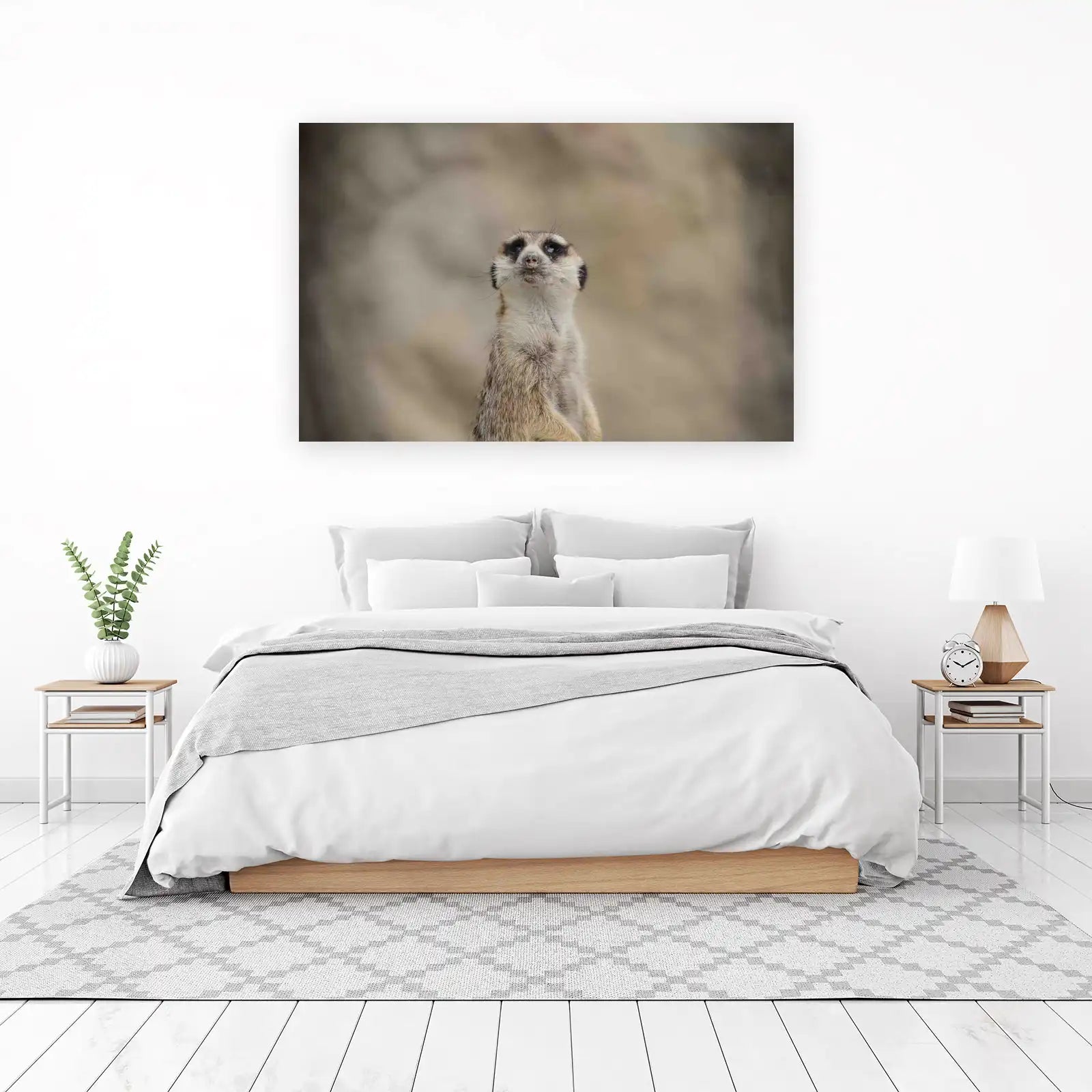 Curious Meerkat Portrait Wall Art