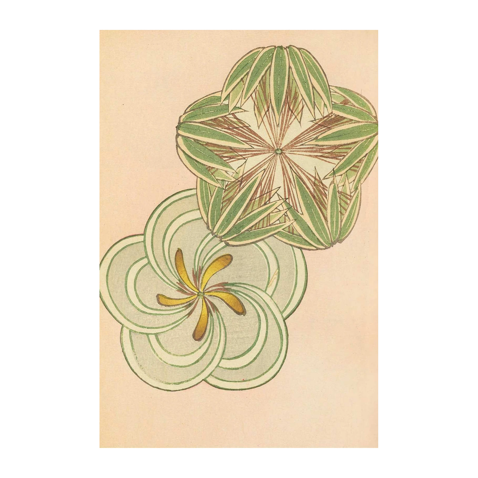 Botanical Bloom & Swirls Wall Art