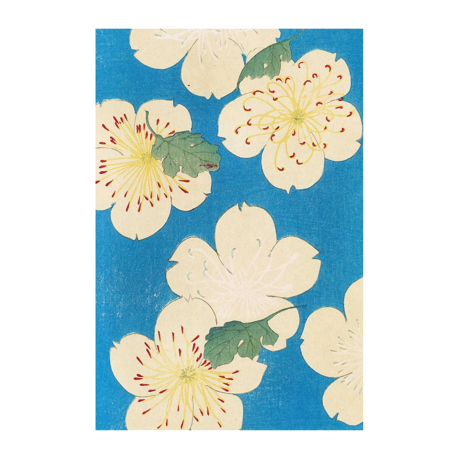 Vibrant Cherry Blossoms Wall Art