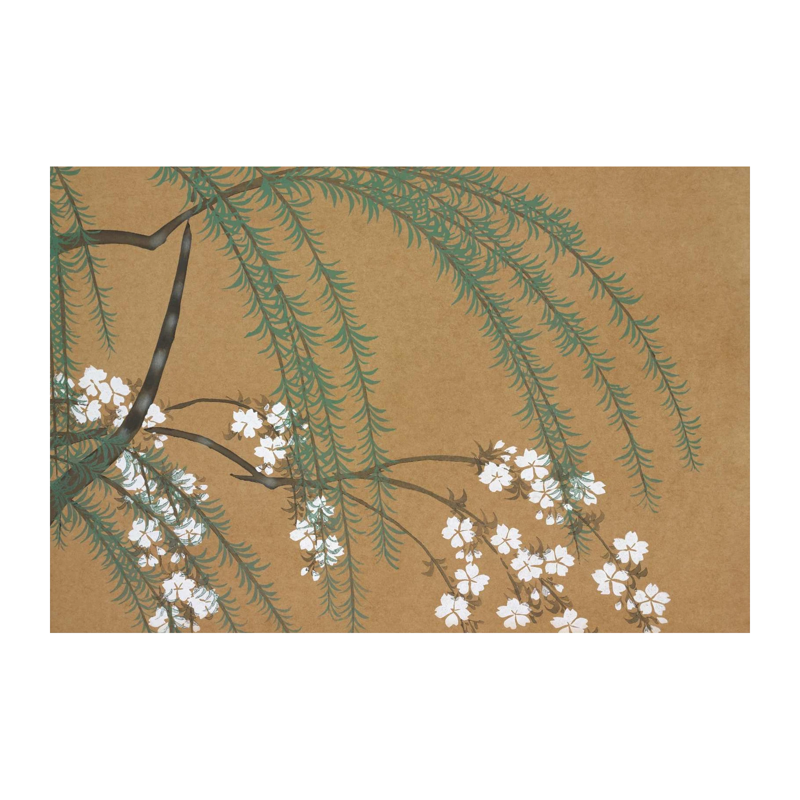 Serene Willow & Blossom Wall Art