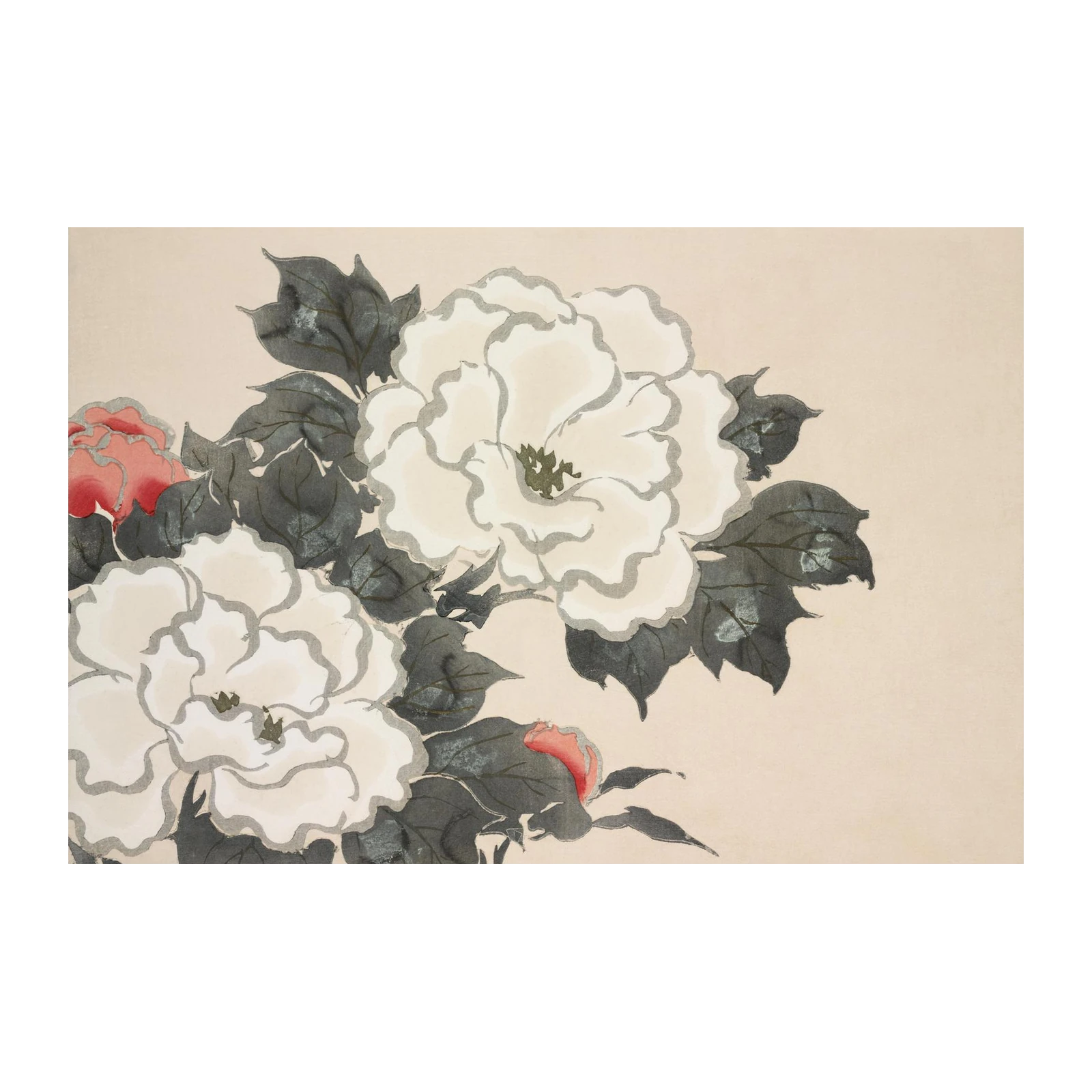 Elegant Peony Blossom Wall Art | Floral Wall Art