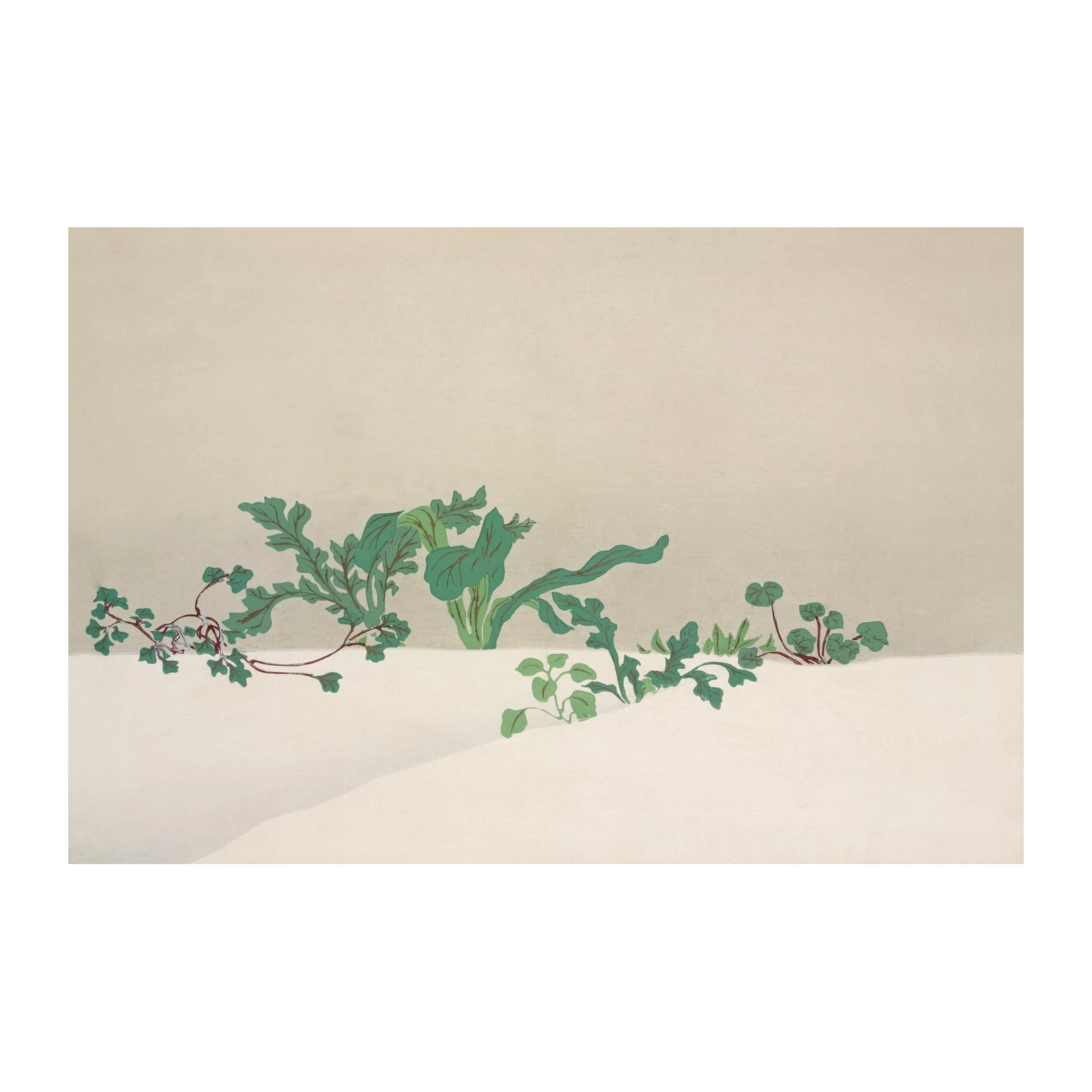 Nature's Serenity Botanical Art Wall Art