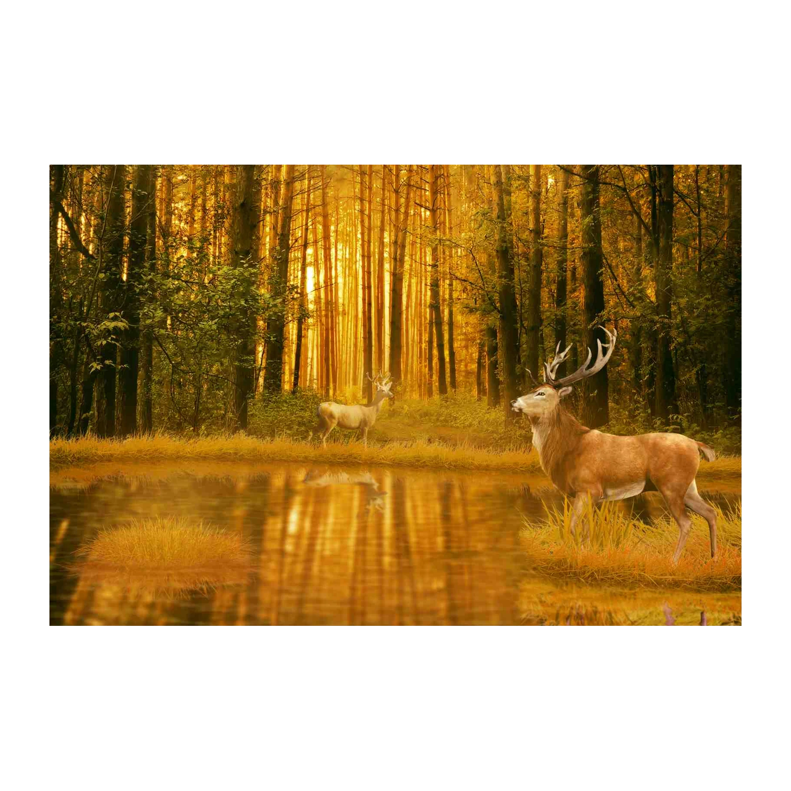 Majestic Deer Forest Landscape Wall Art