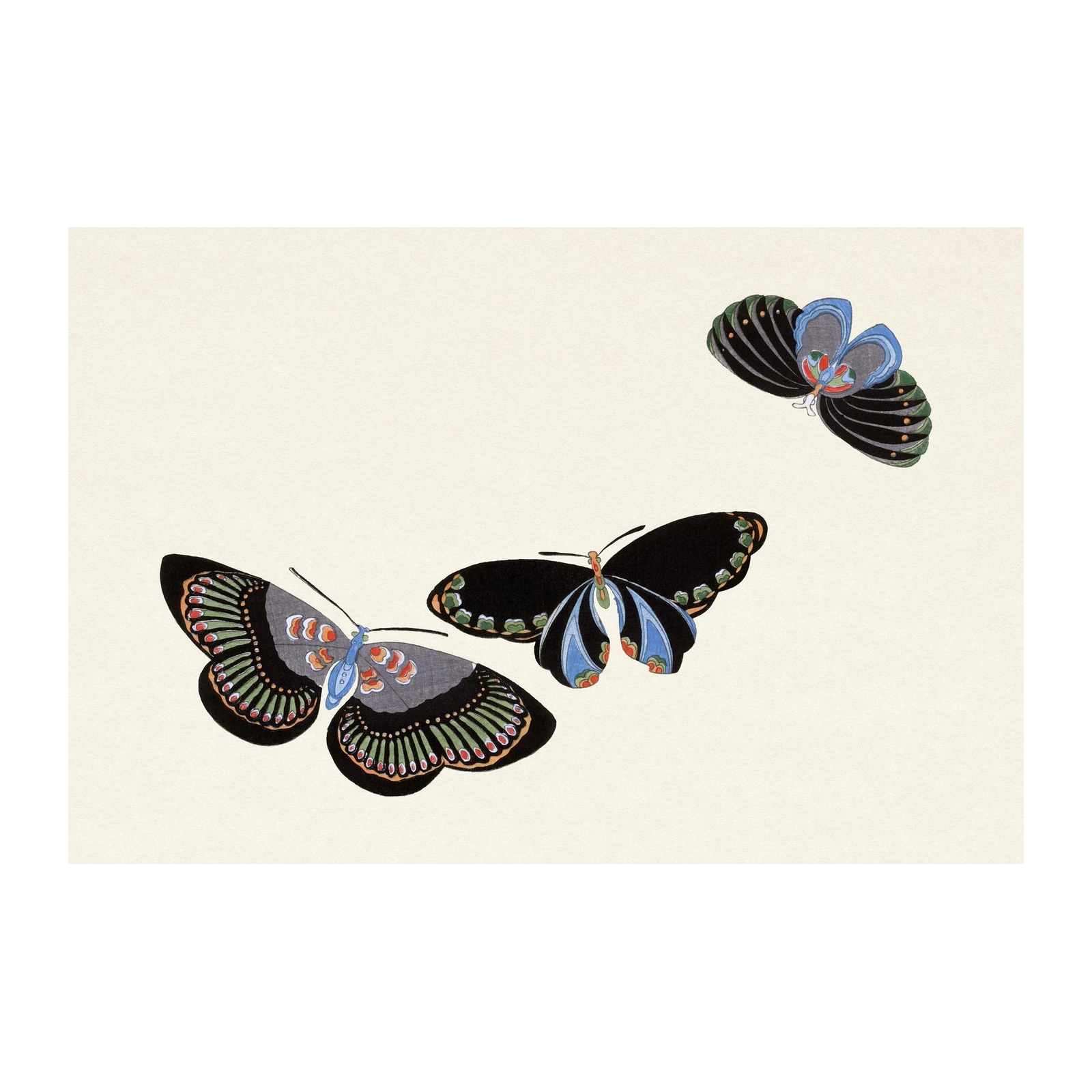 Elegant Butterfly Art Print