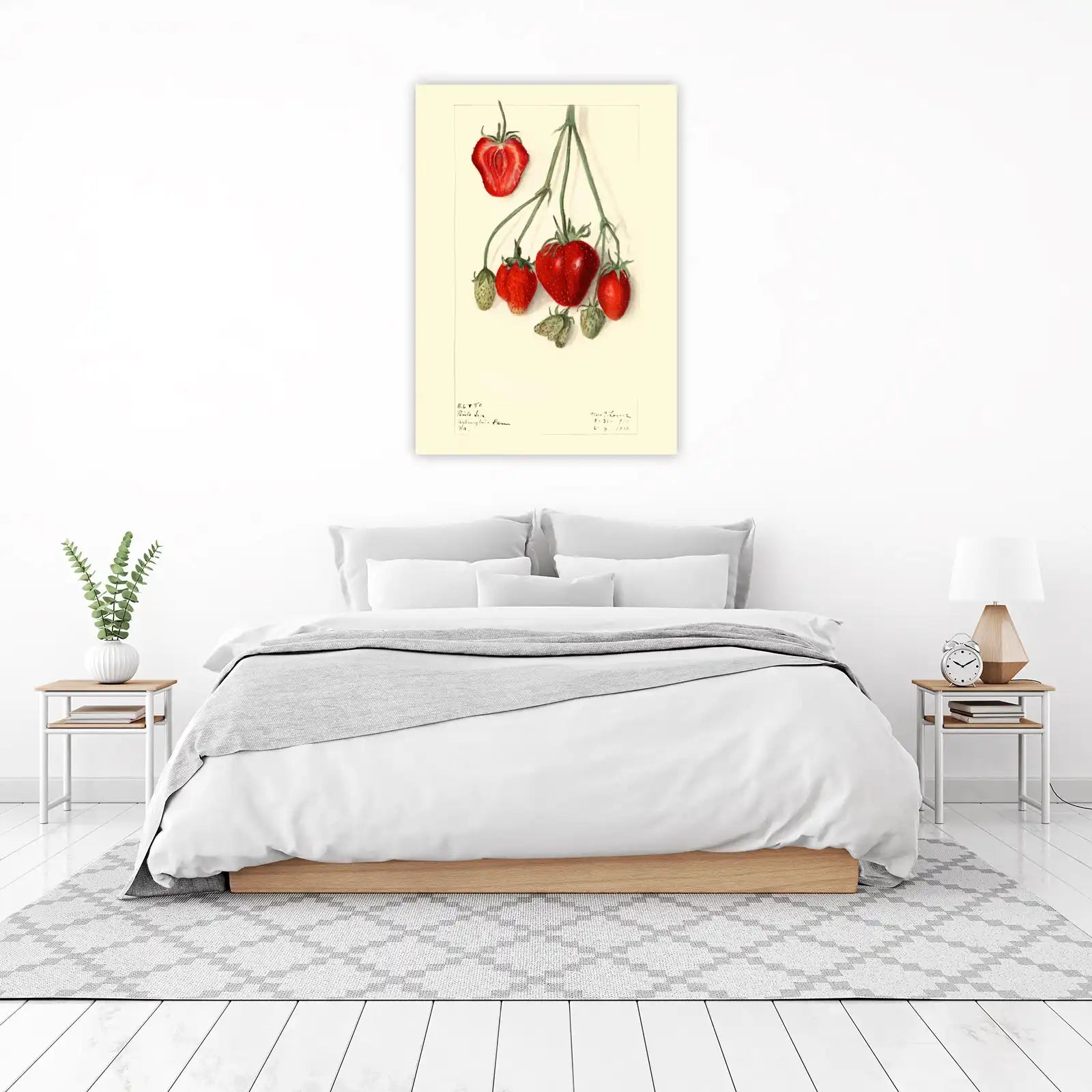 Vintage Strawberry Botanical Art Wall Art