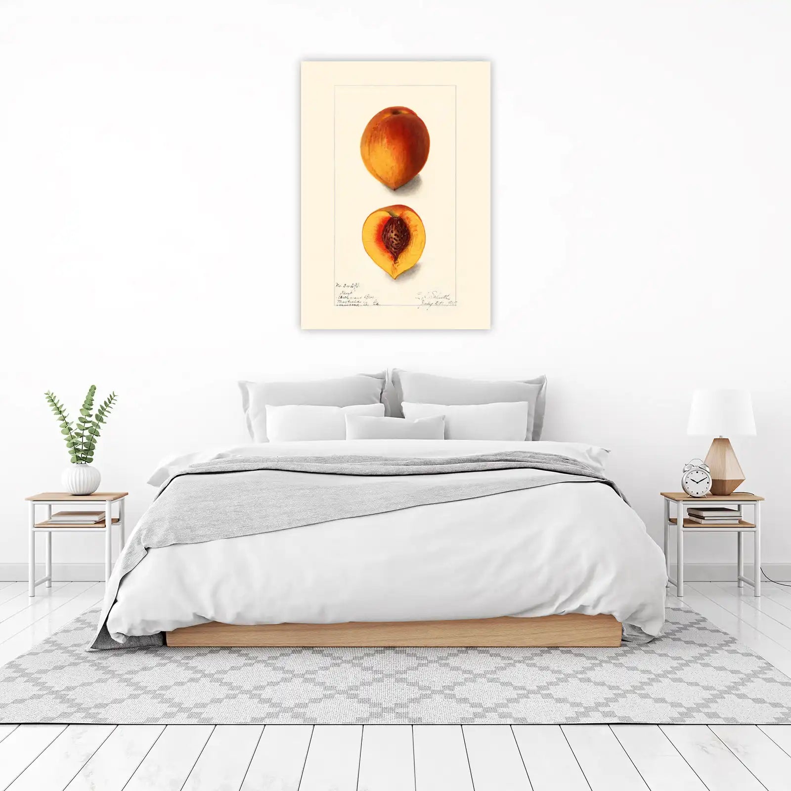 Vintage Peach Botanical Art Wall Art