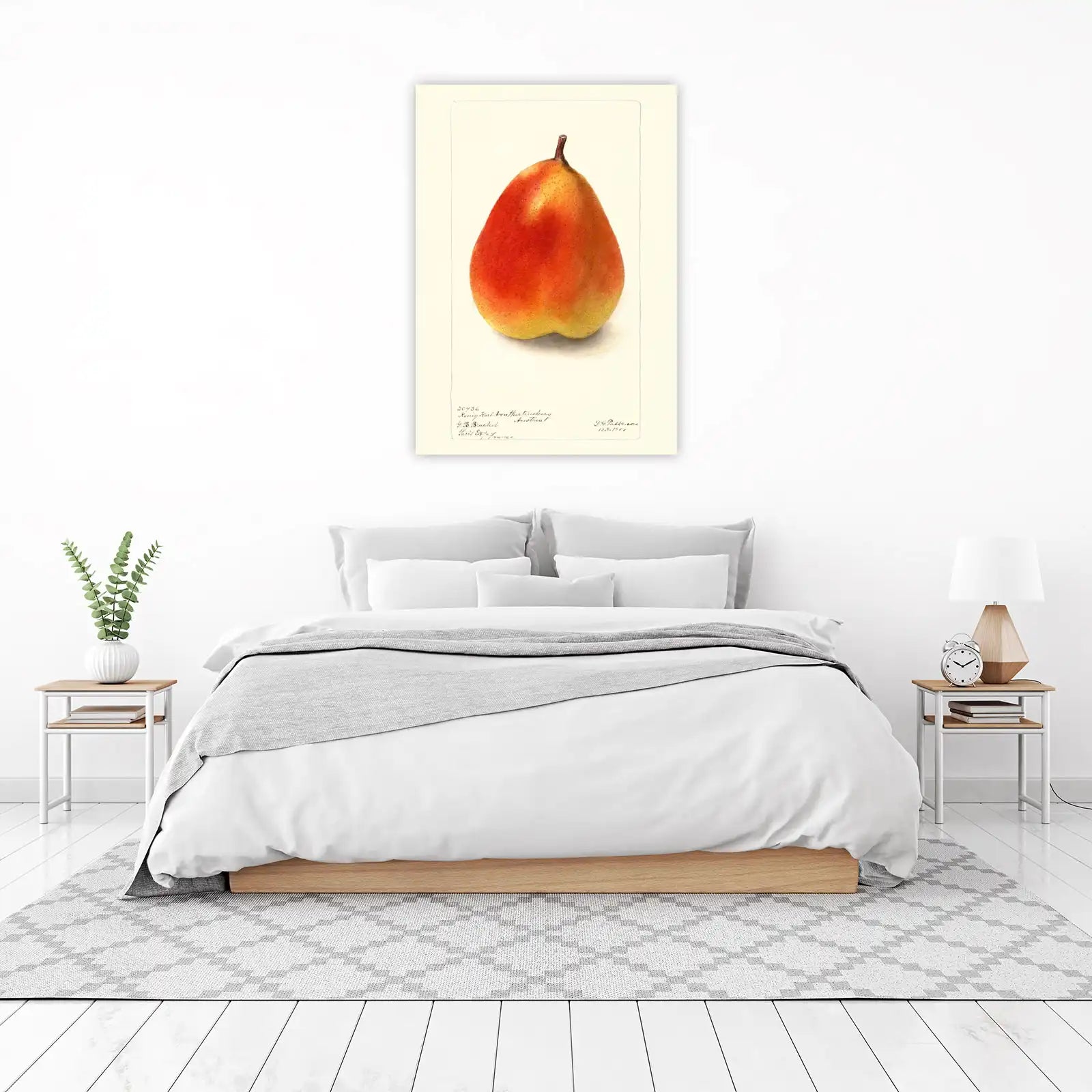 Vintage Pear Botanical Art Wall Art