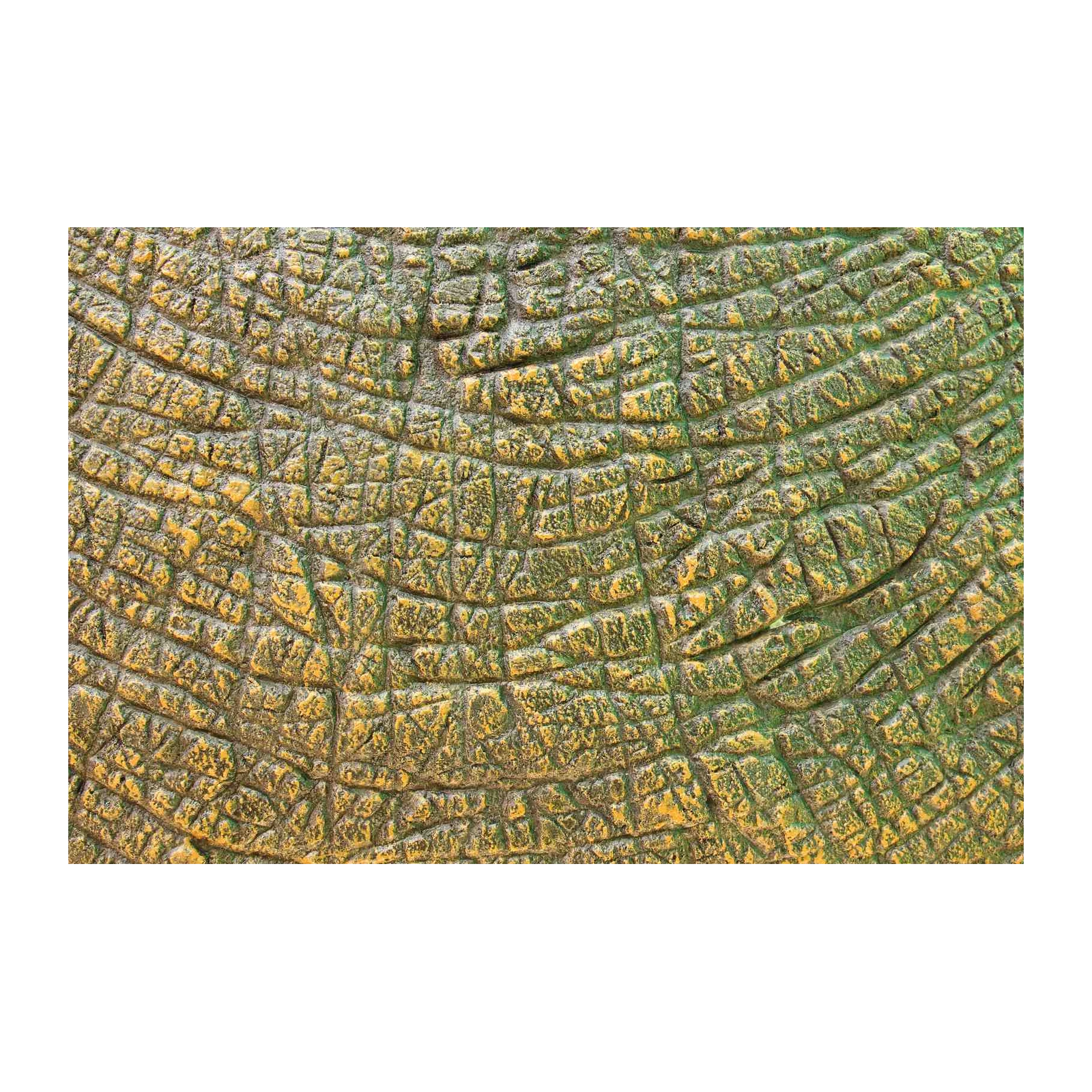Textured Reptile Skin Abstract Wall Art