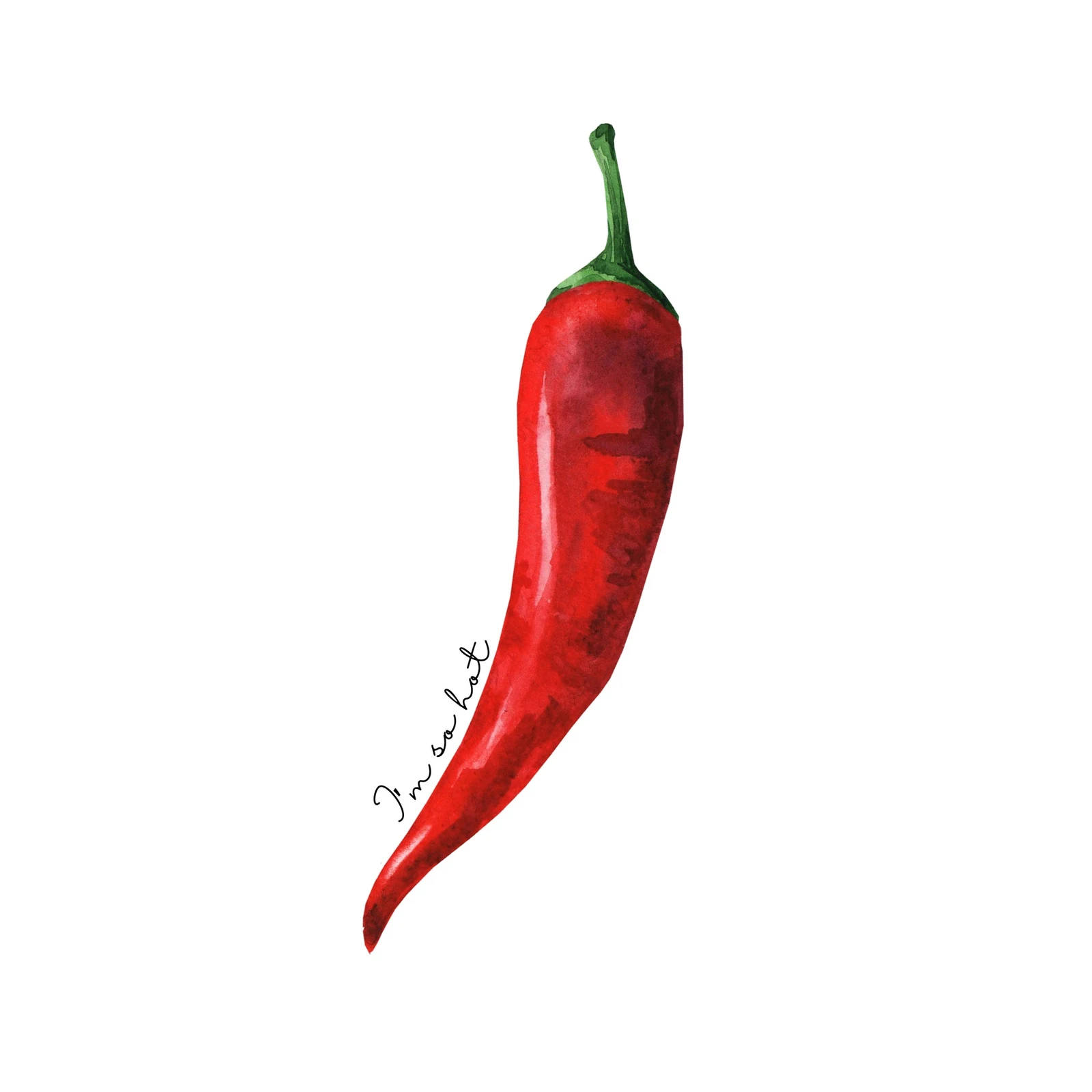 Red Chili Pepper "So Hot" Watercolor Wall Art