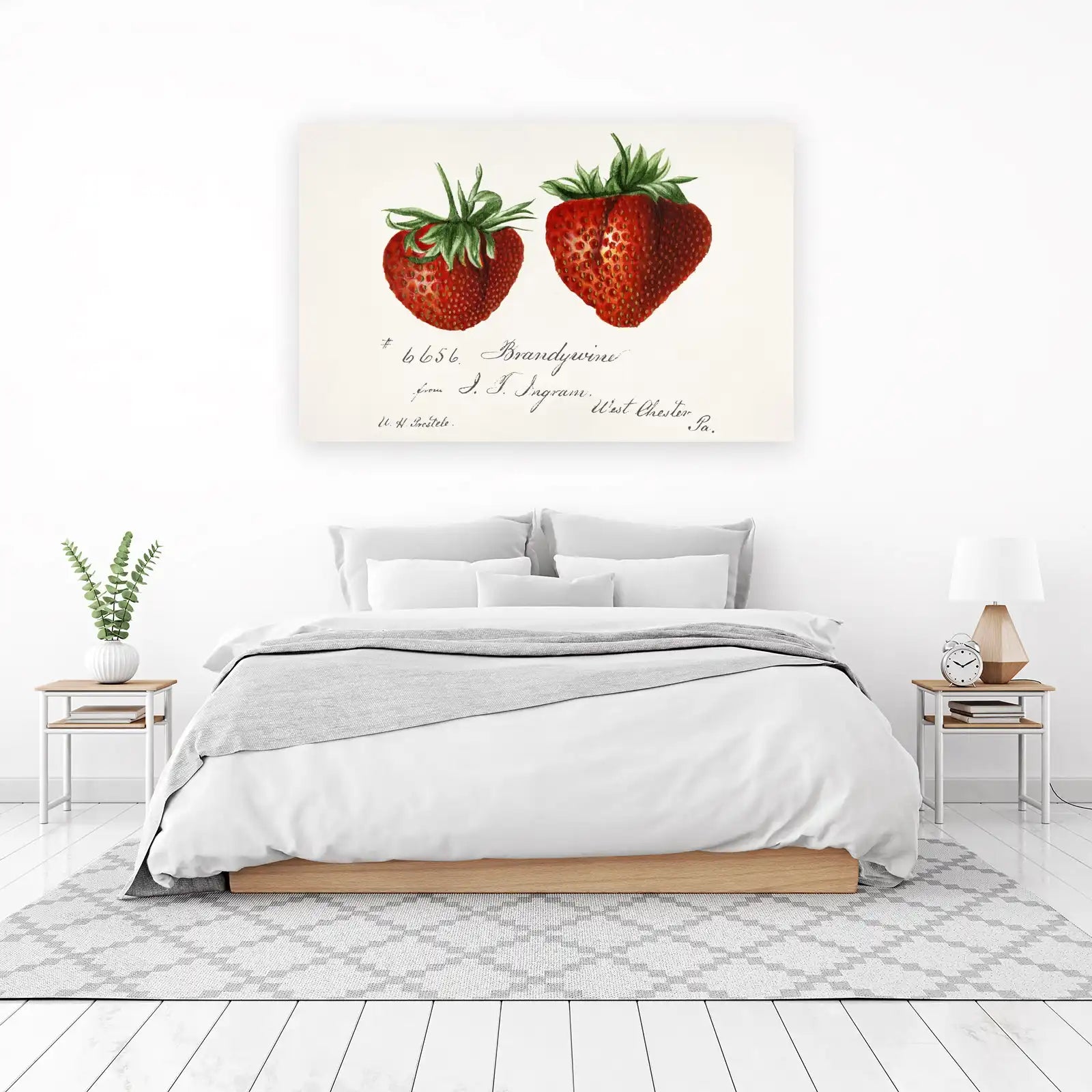 Vintage Strawberry Botanical Art Wall Art