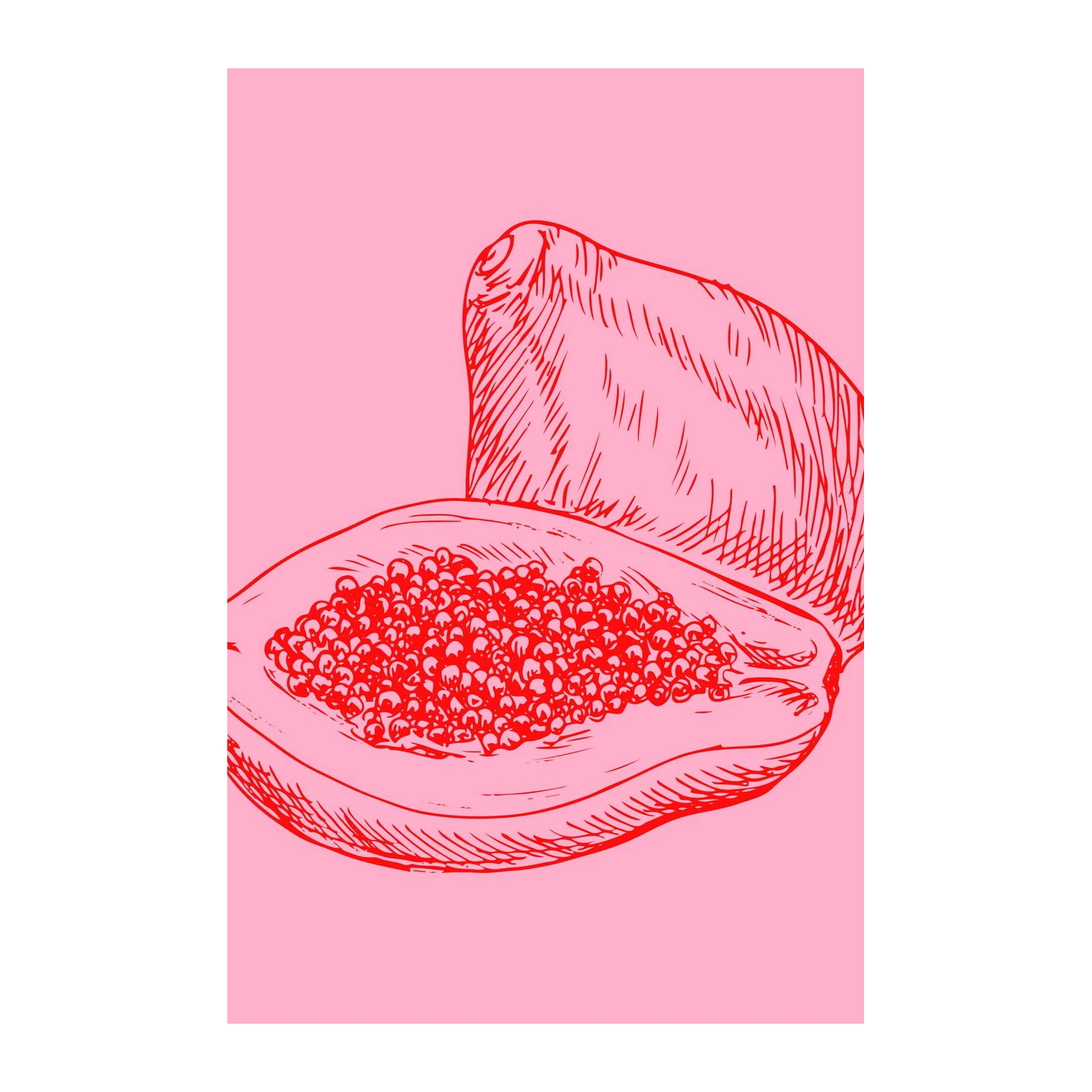 Vibrant Papaya Sketch Wall Art