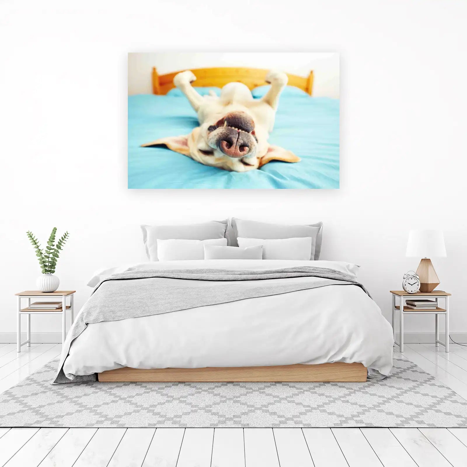 Happy Dog Relaxing on Bed Wall Art