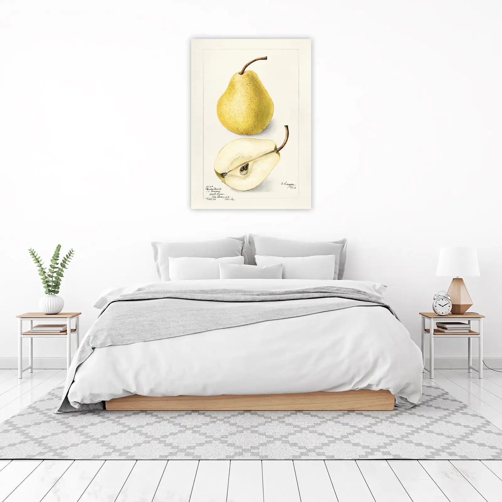 Botanical Pear Still Life Wall Art