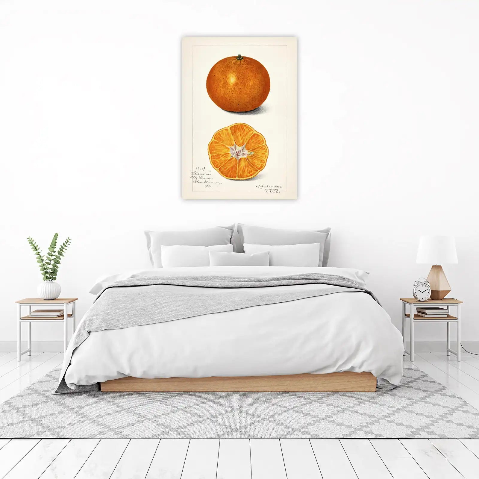 Vintage Satsuma Orange Botanical Art Wall Art