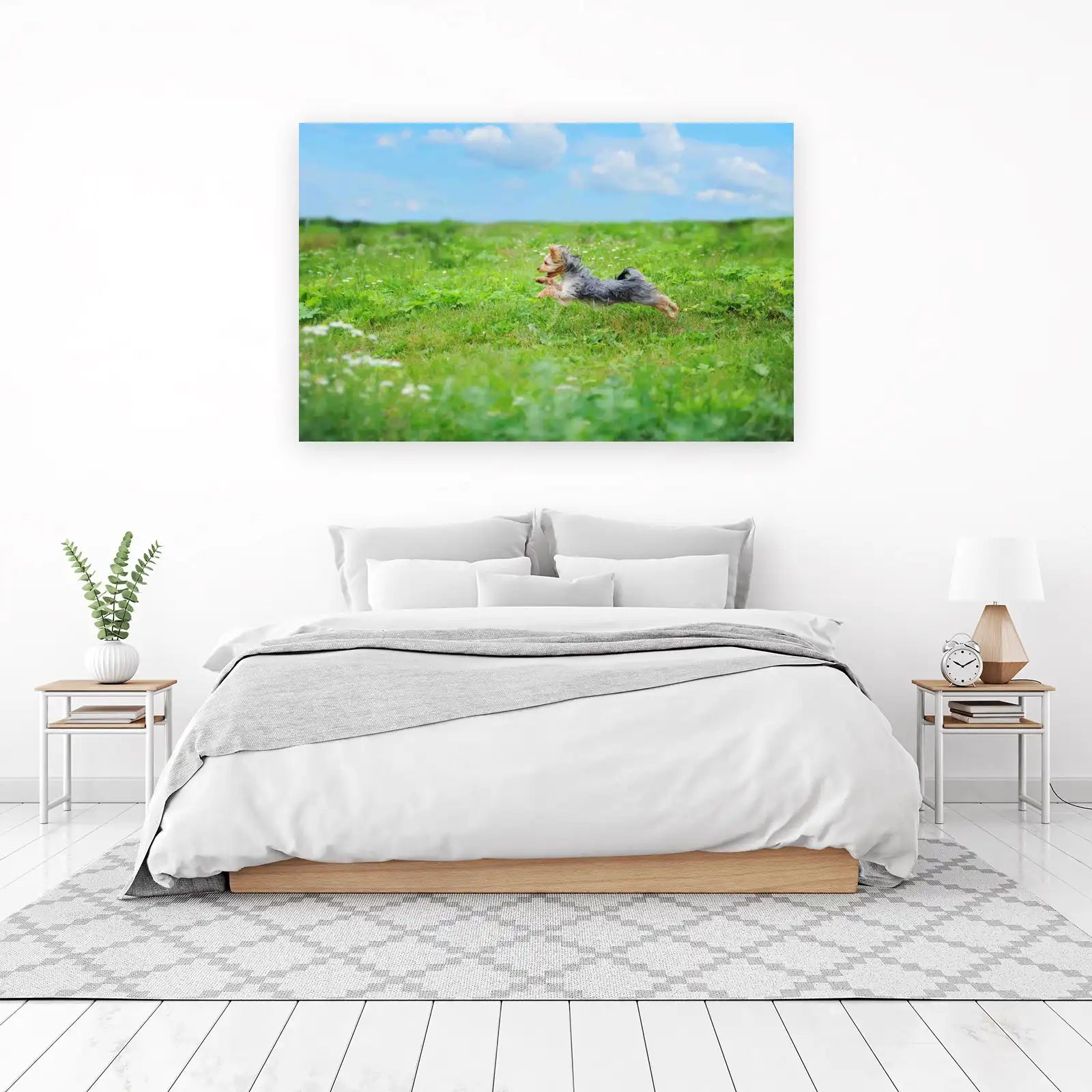 Joyful Yorkshire Terrier Field Run Wall Art