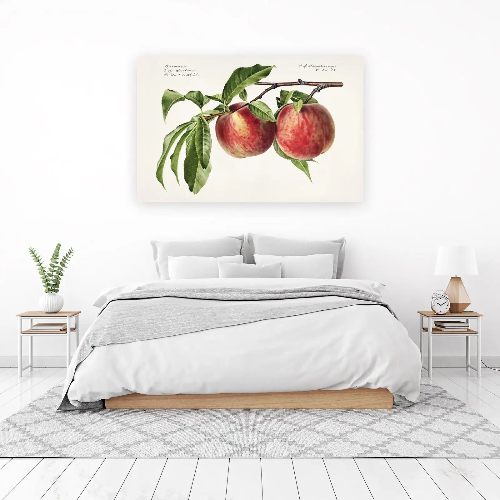 Botanical Peach Branch Wall Art - Vintage Fruit Art
