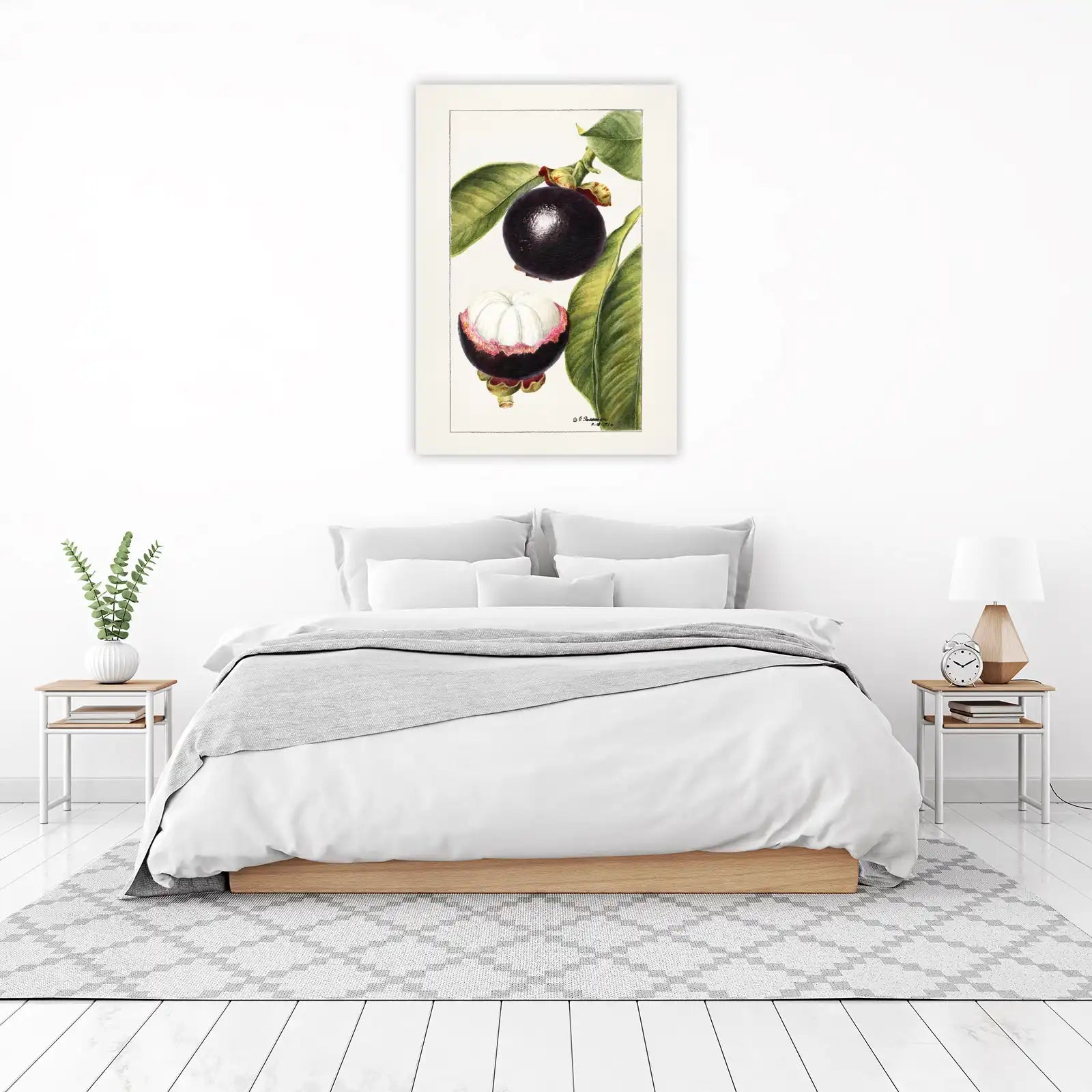 Vintage Mangosteen Botanical Art Wall Art