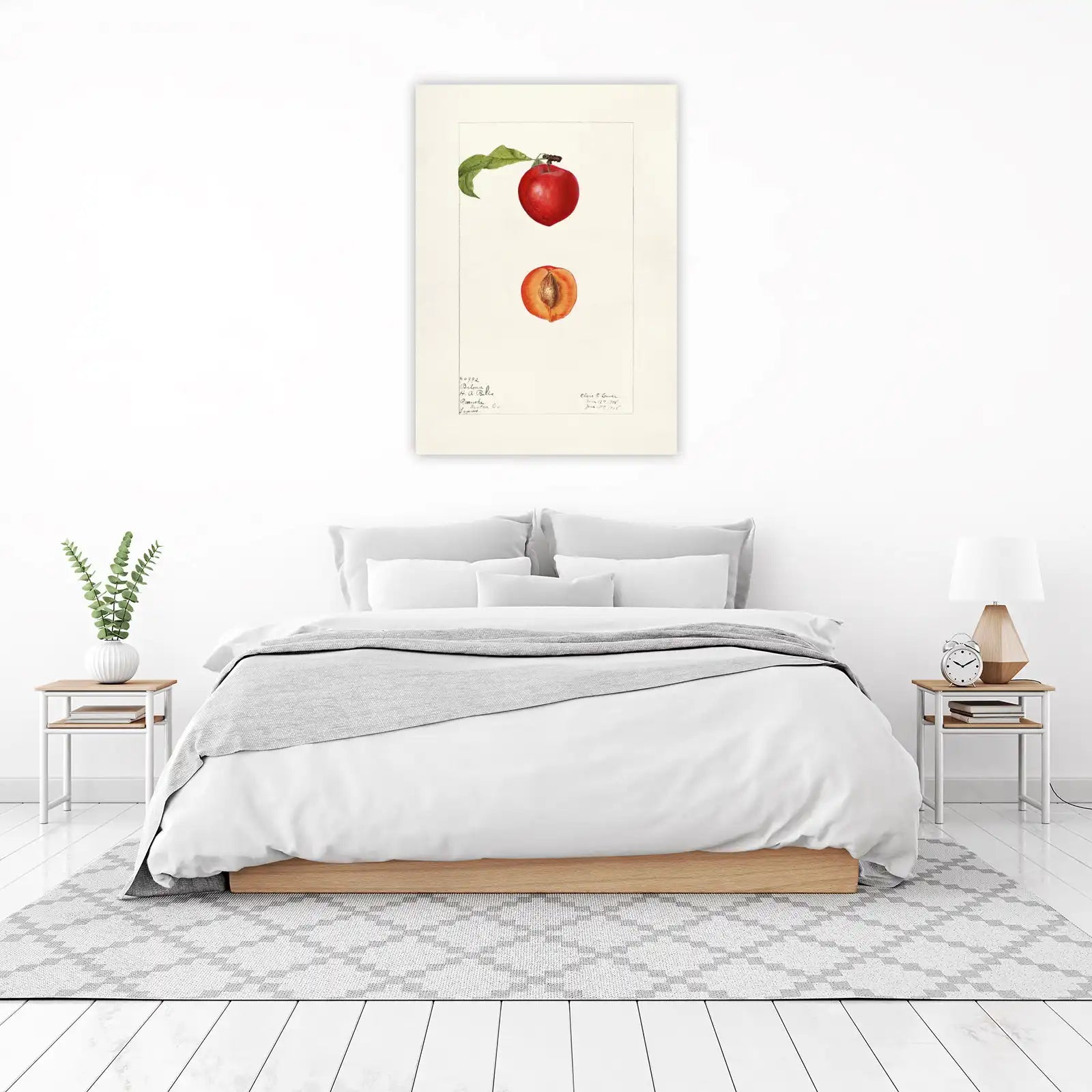 Vintage Peach Botanical Art Wall Art
