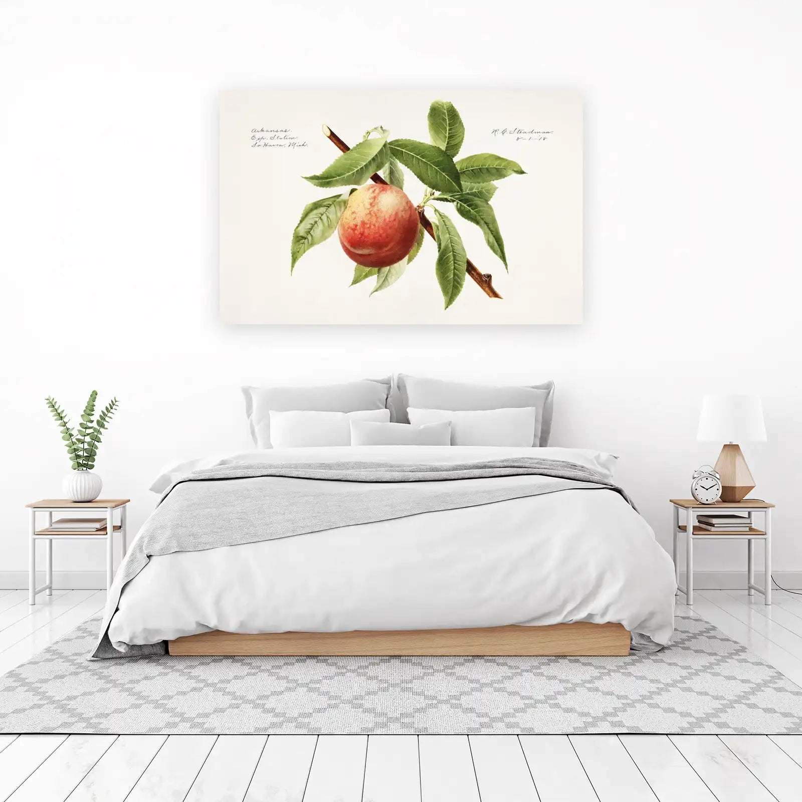 Vintage Peach Botanical Art Wall Art