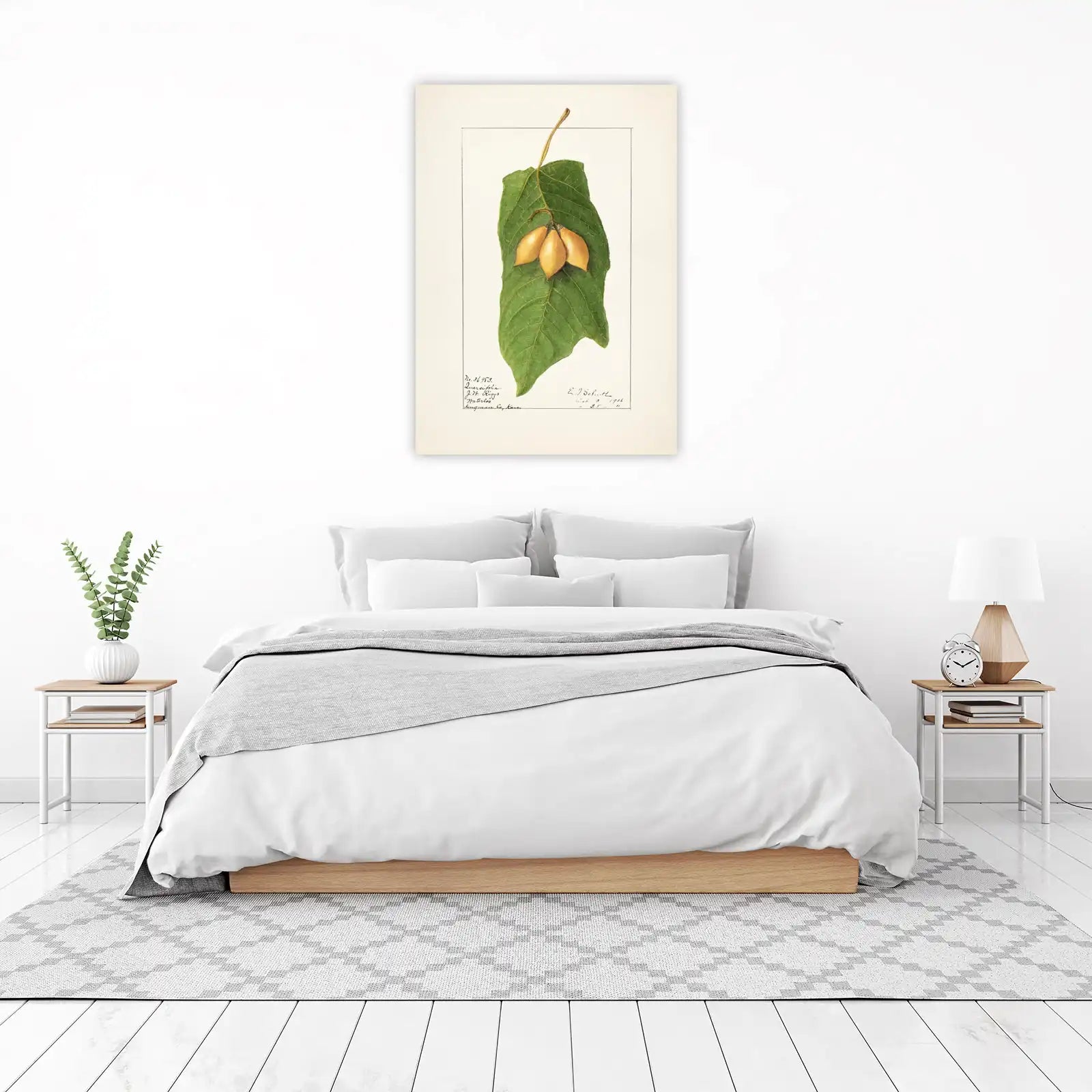 Botanical Quercifolia Fruit Leaf Wall Art